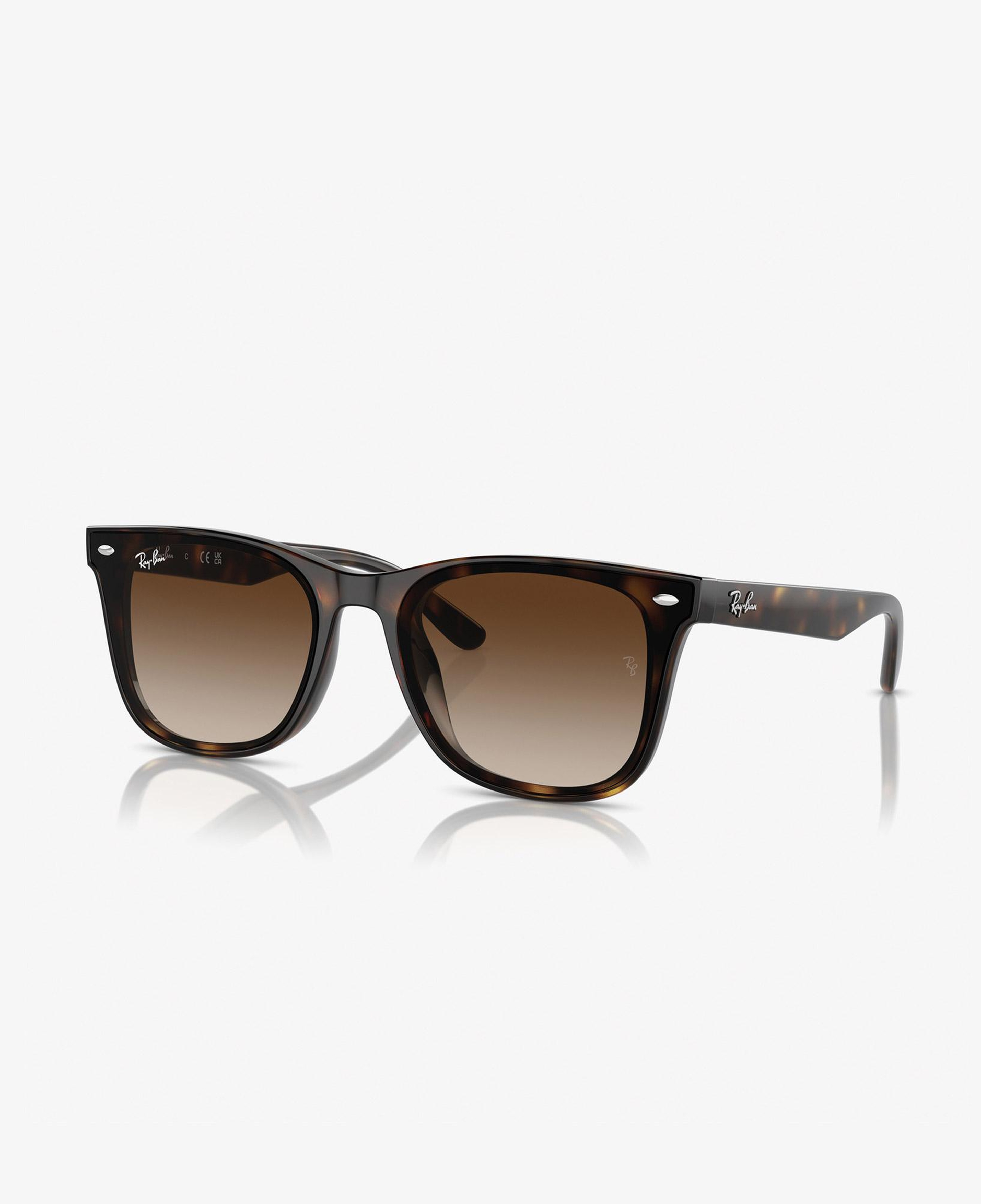 RAY-BAN 0RB4420 Injected Unisex Kahverengi Güneş Gözlüğü