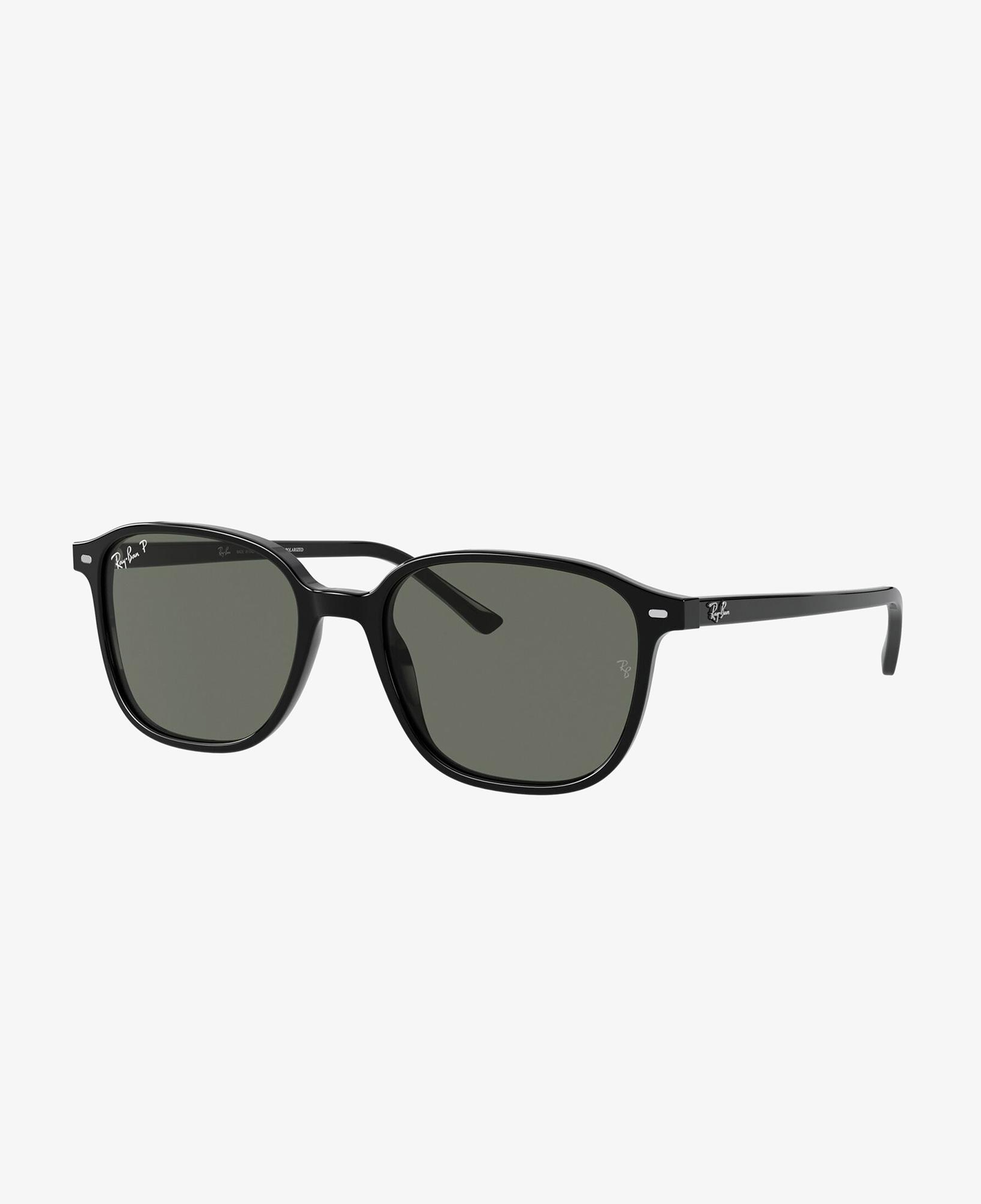 RAY-BAN 0RB2193 Leonard Unisex Siyah Güneş Gözlüğü