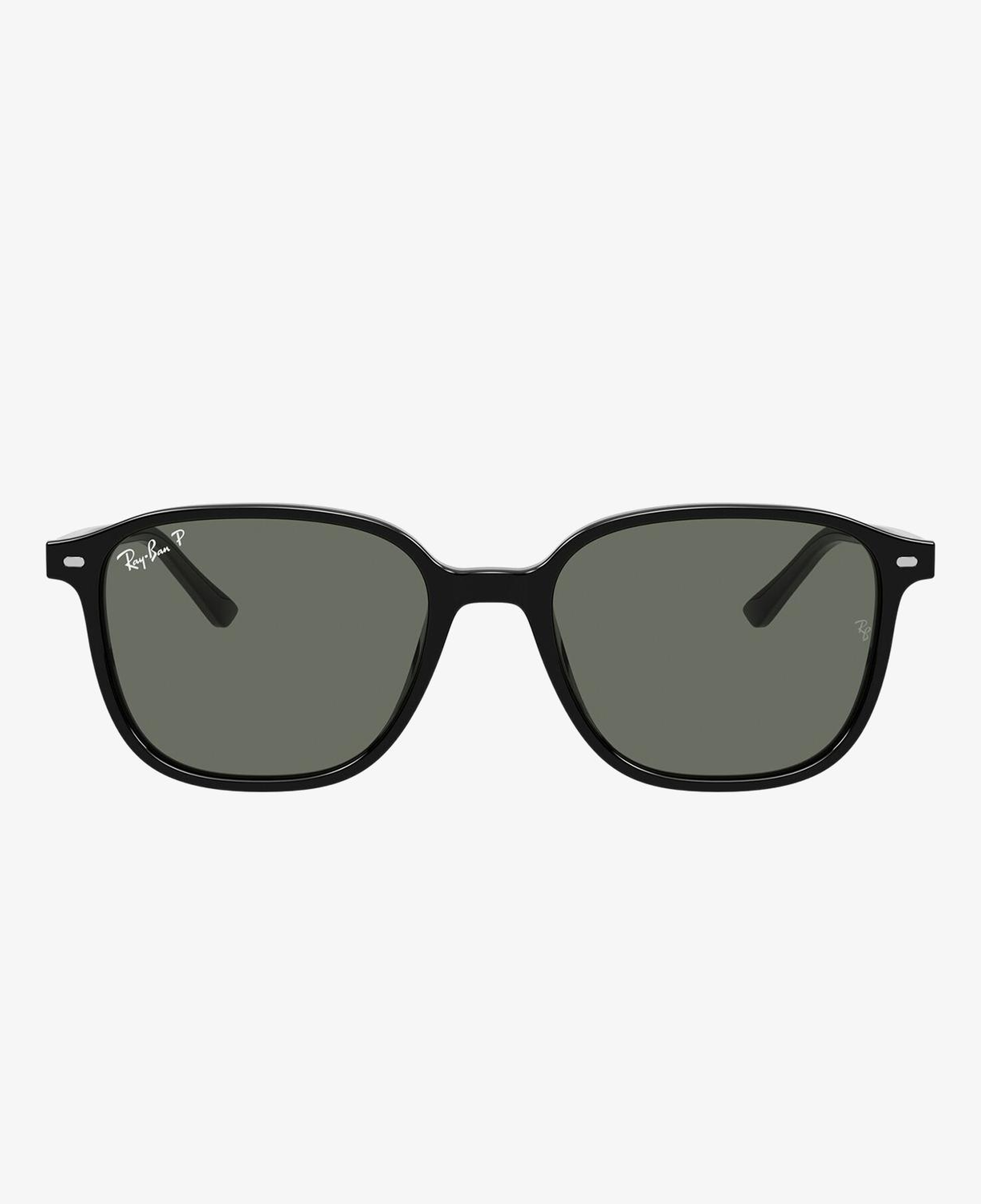 RAY-BAN 0RB2193 Leonard Unisex Siyah Güneş Gözlüğü