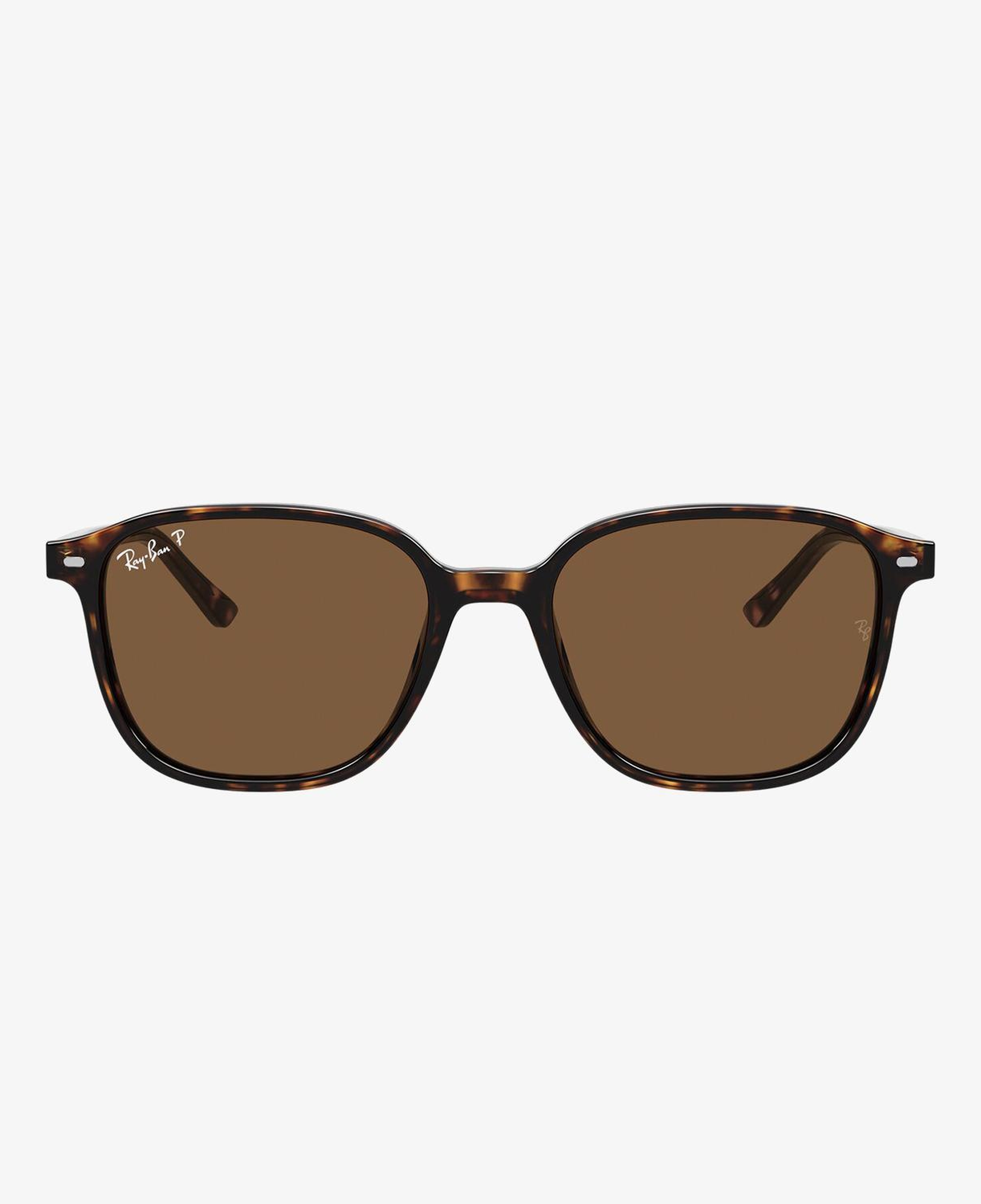 RAY-BAN 0RB2193 Leonard Unisex Havana Güneş Gözlüğü