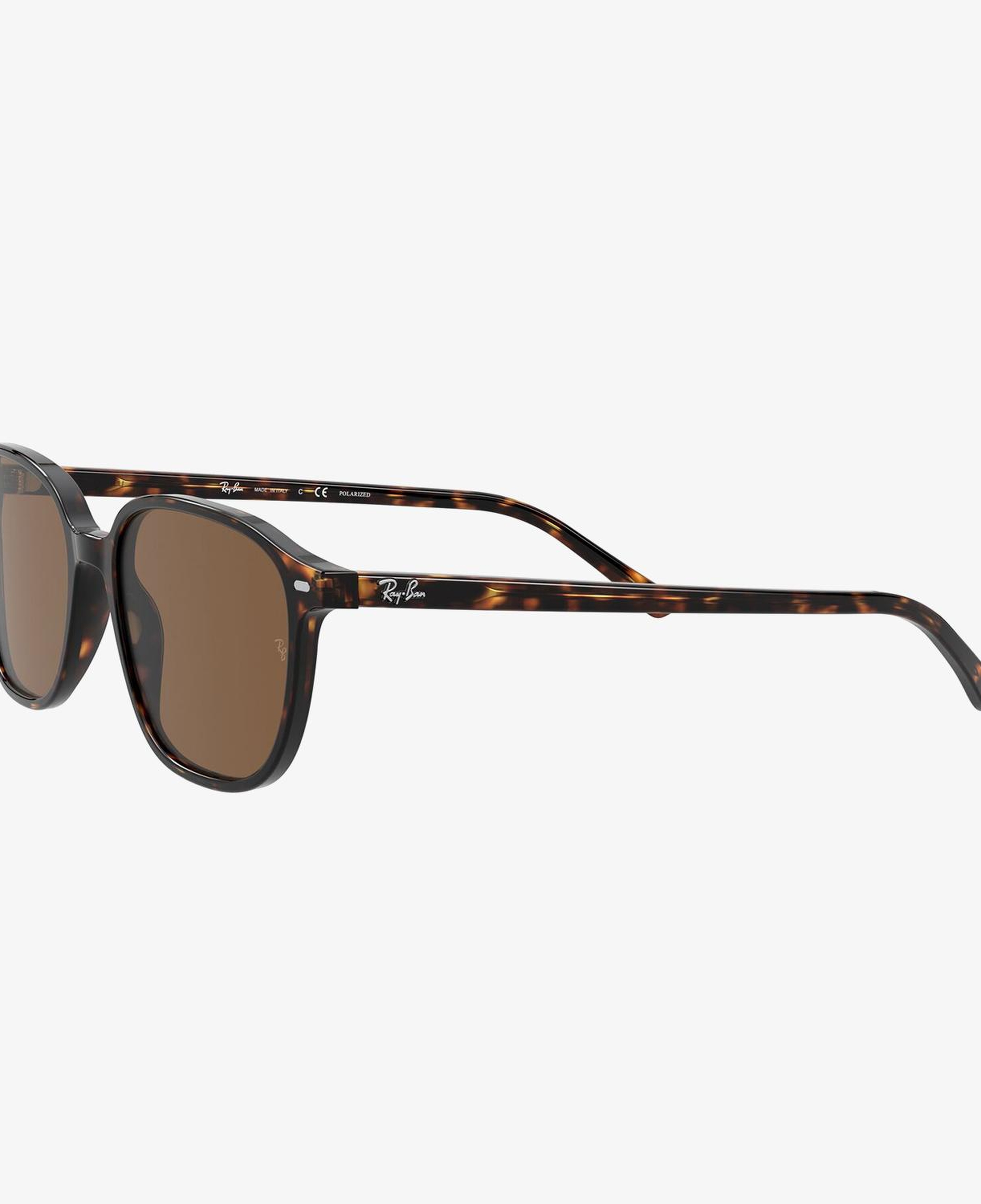 RAY-BAN 0RB2193 Leonard Unisex Havana Güneş Gözlüğü