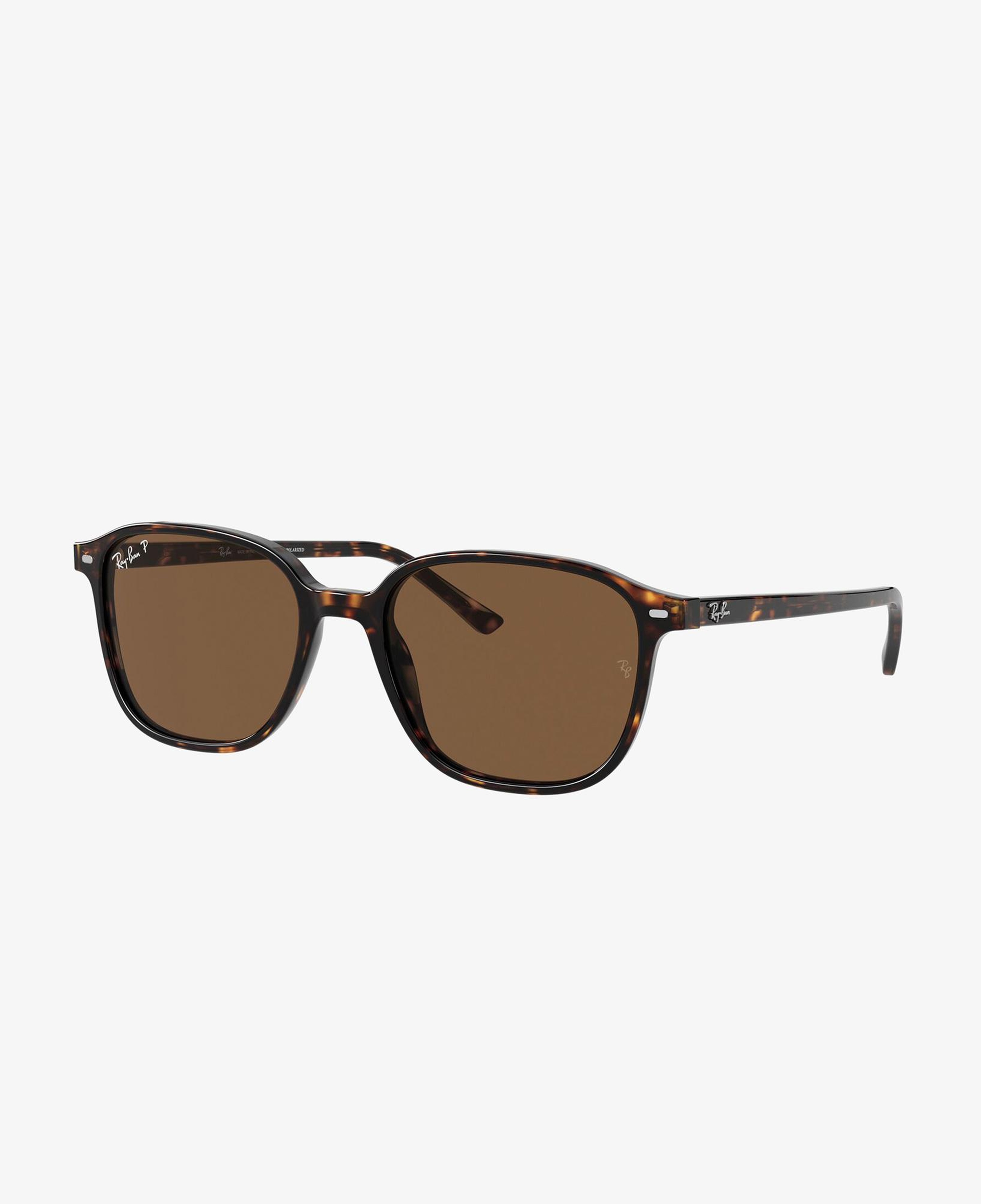 RAY-BAN 0RB2193 Leonard Unisex Havana Güneş Gözlüğü