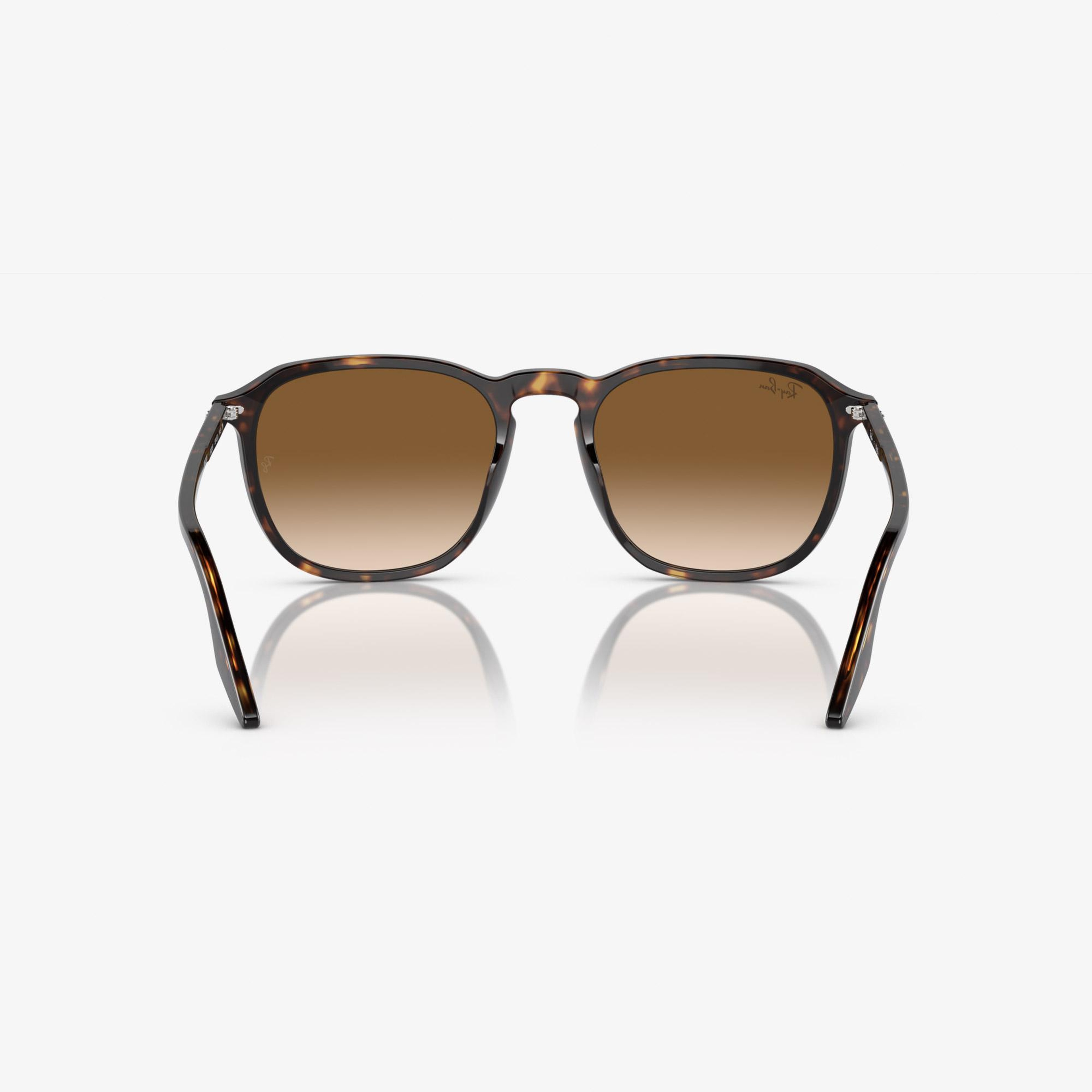 Ray-Ban Acetate Unisex Kahverengi Güneş Gözlüğü
