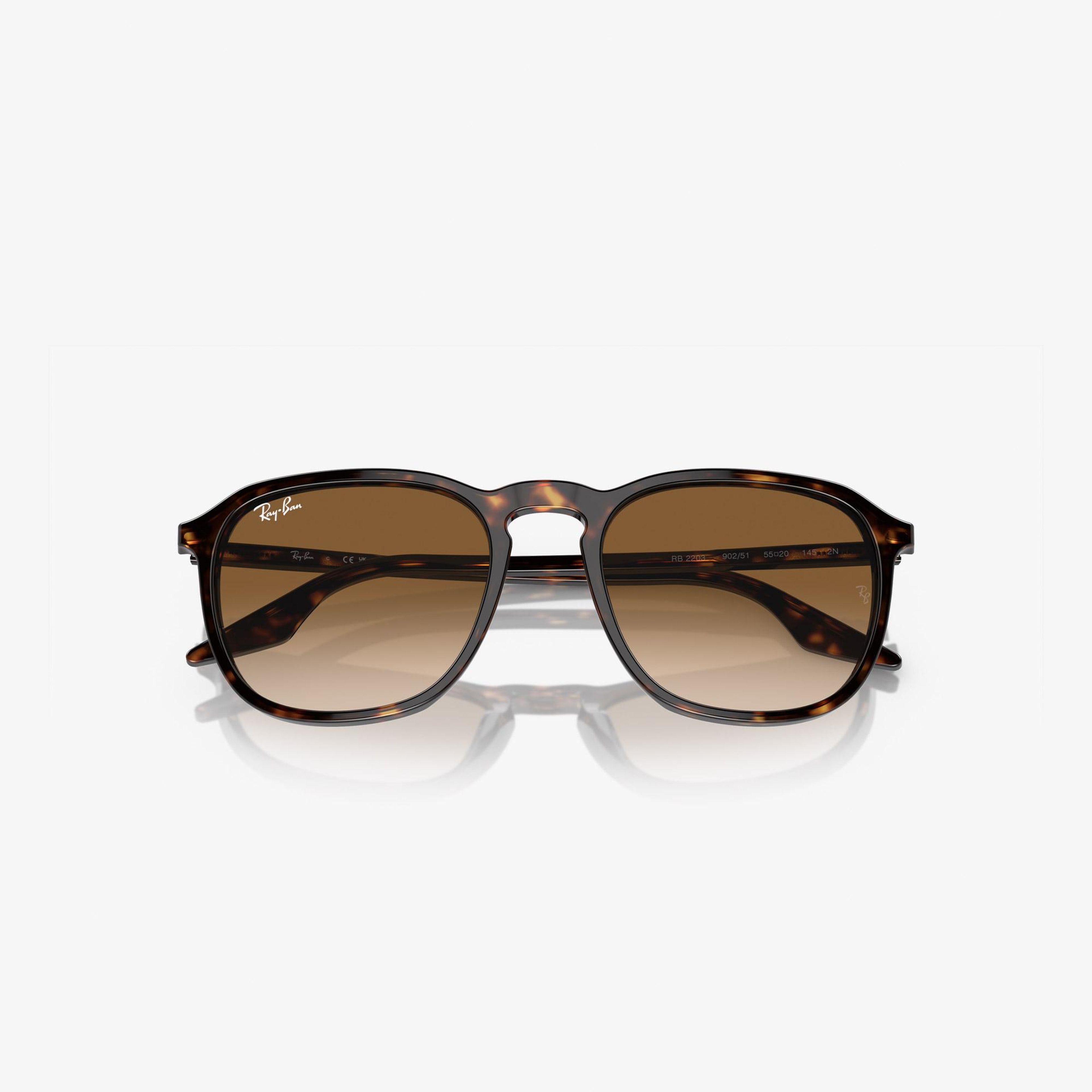 Ray-Ban Acetate Unisex Kahverengi Güneş Gözlüğü