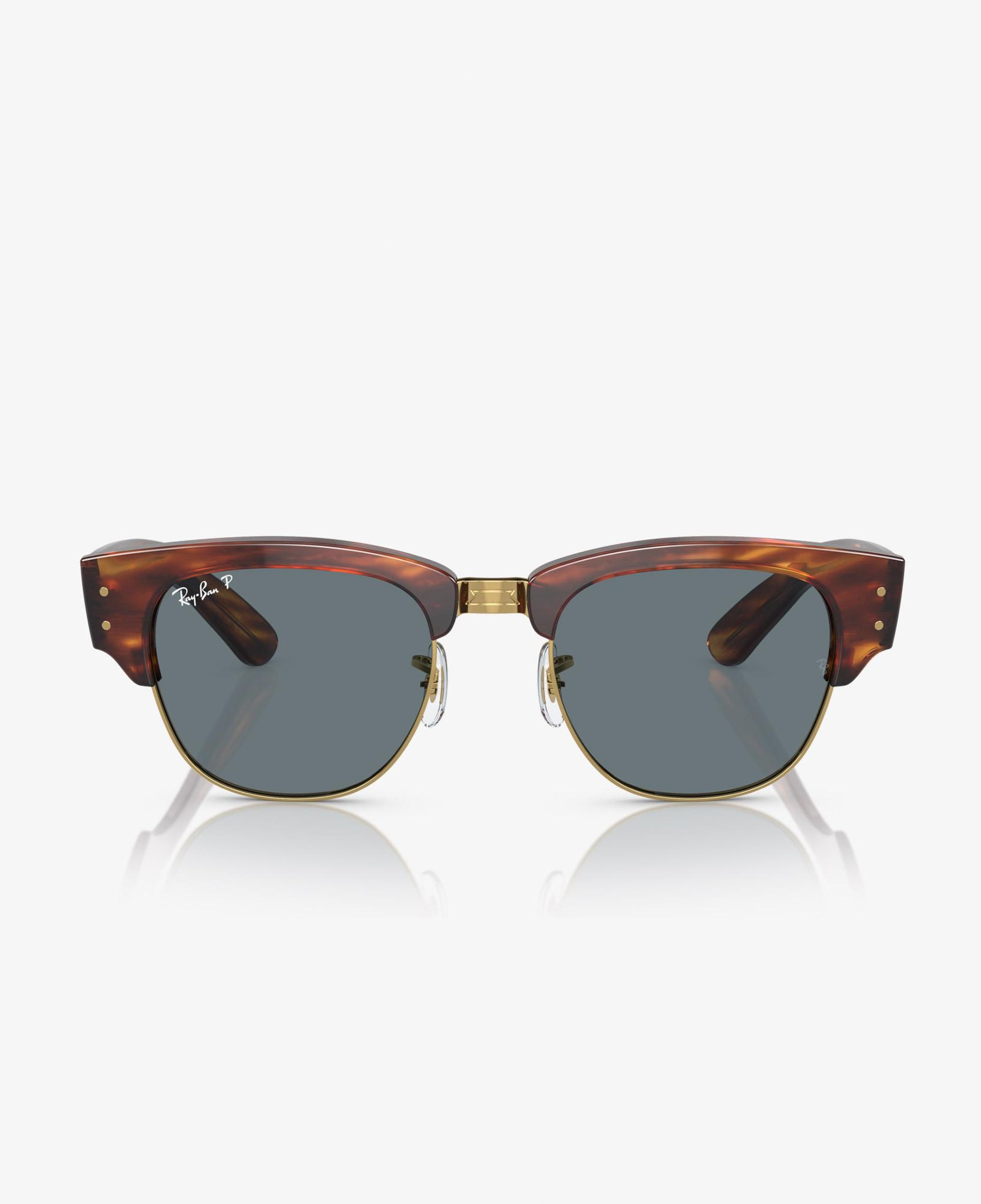 Ray-Ban Propionate Unisex Kahverengi Güneş Gözlüğü