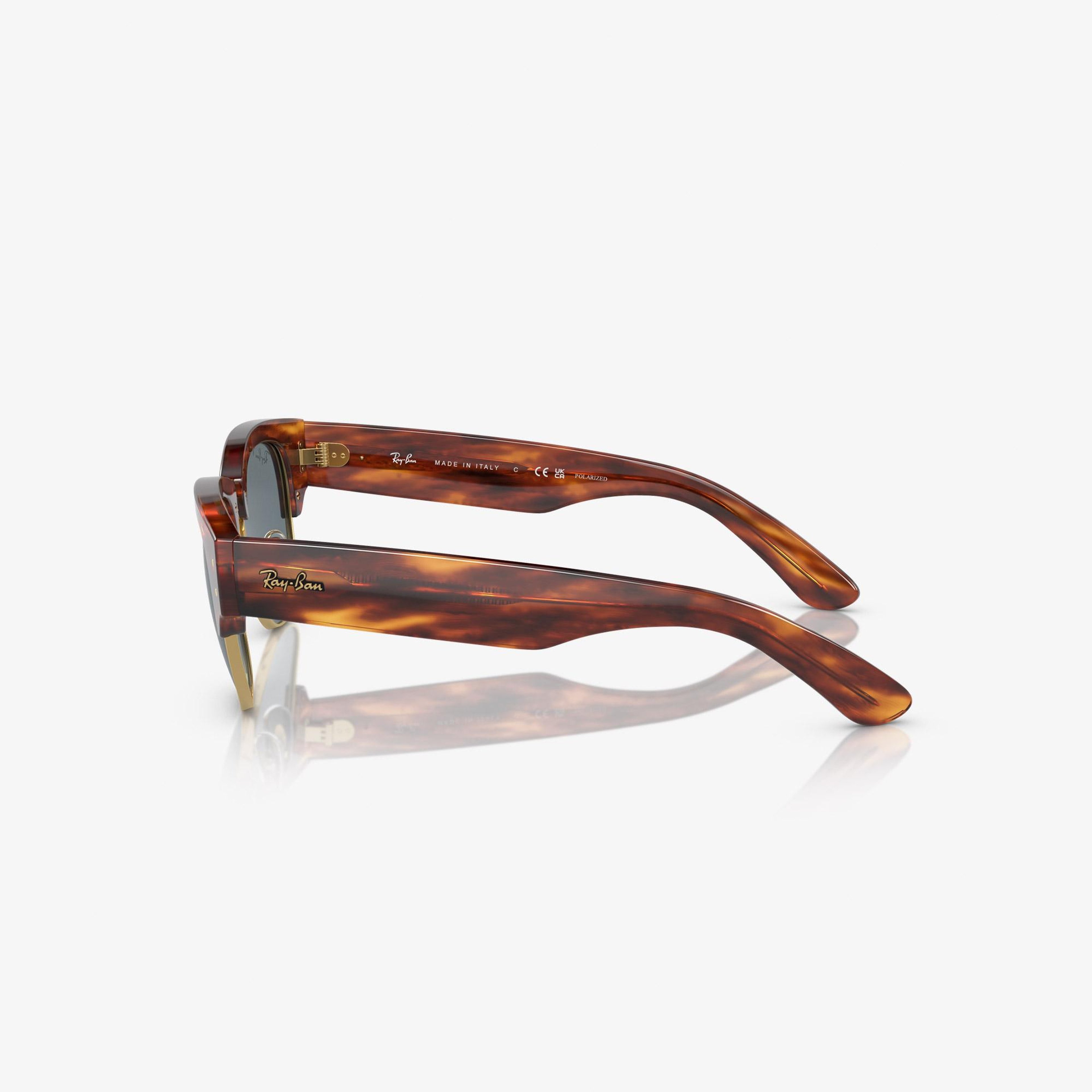 Ray-Ban Propionate Unisex Kahverengi Güneş Gözlüğü
