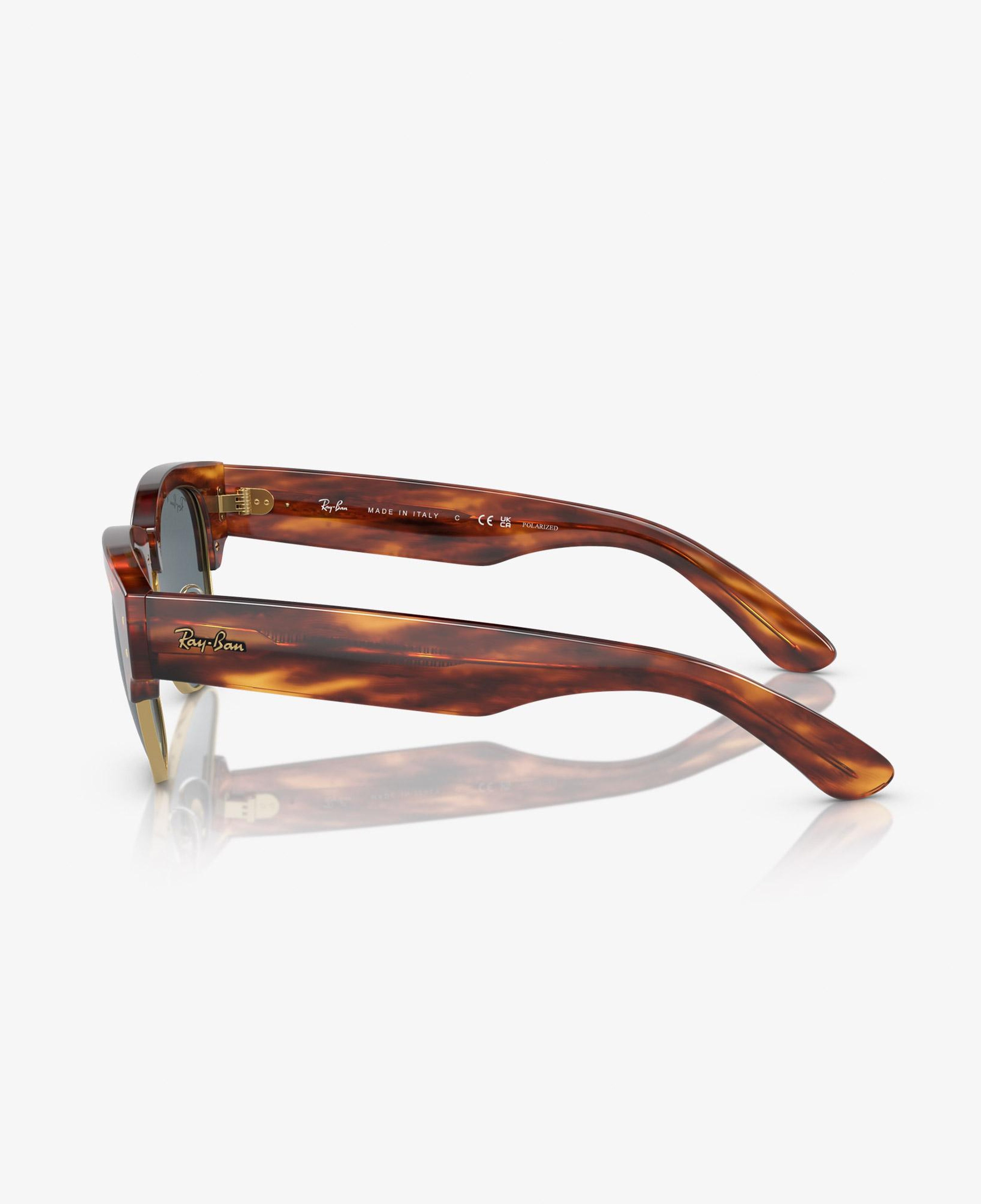 Ray-Ban Propionate Unisex Kahverengi Güneş Gözlüğü