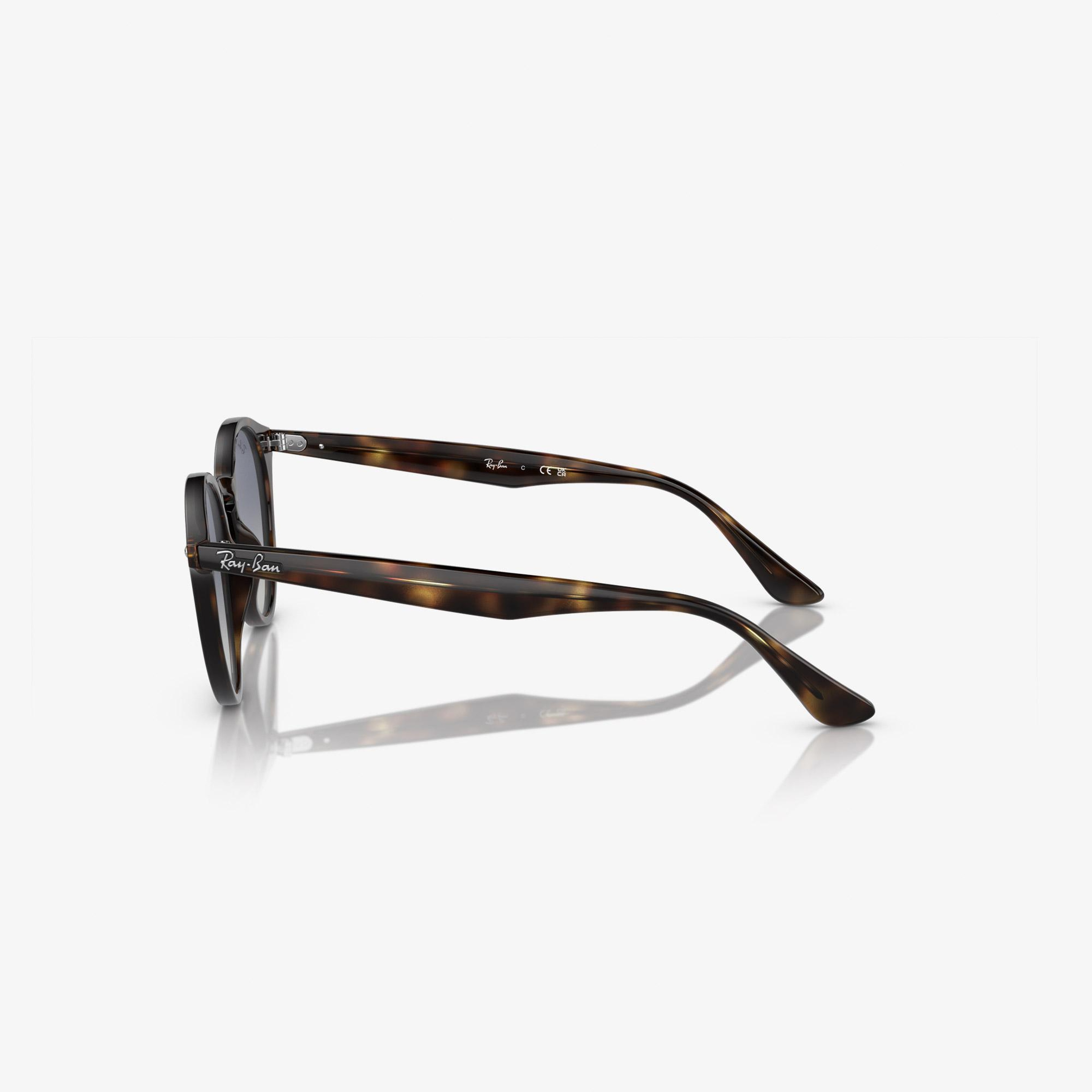 Ray-Ban Propionate Unisex Kahverengi Güneş Gözlüğü