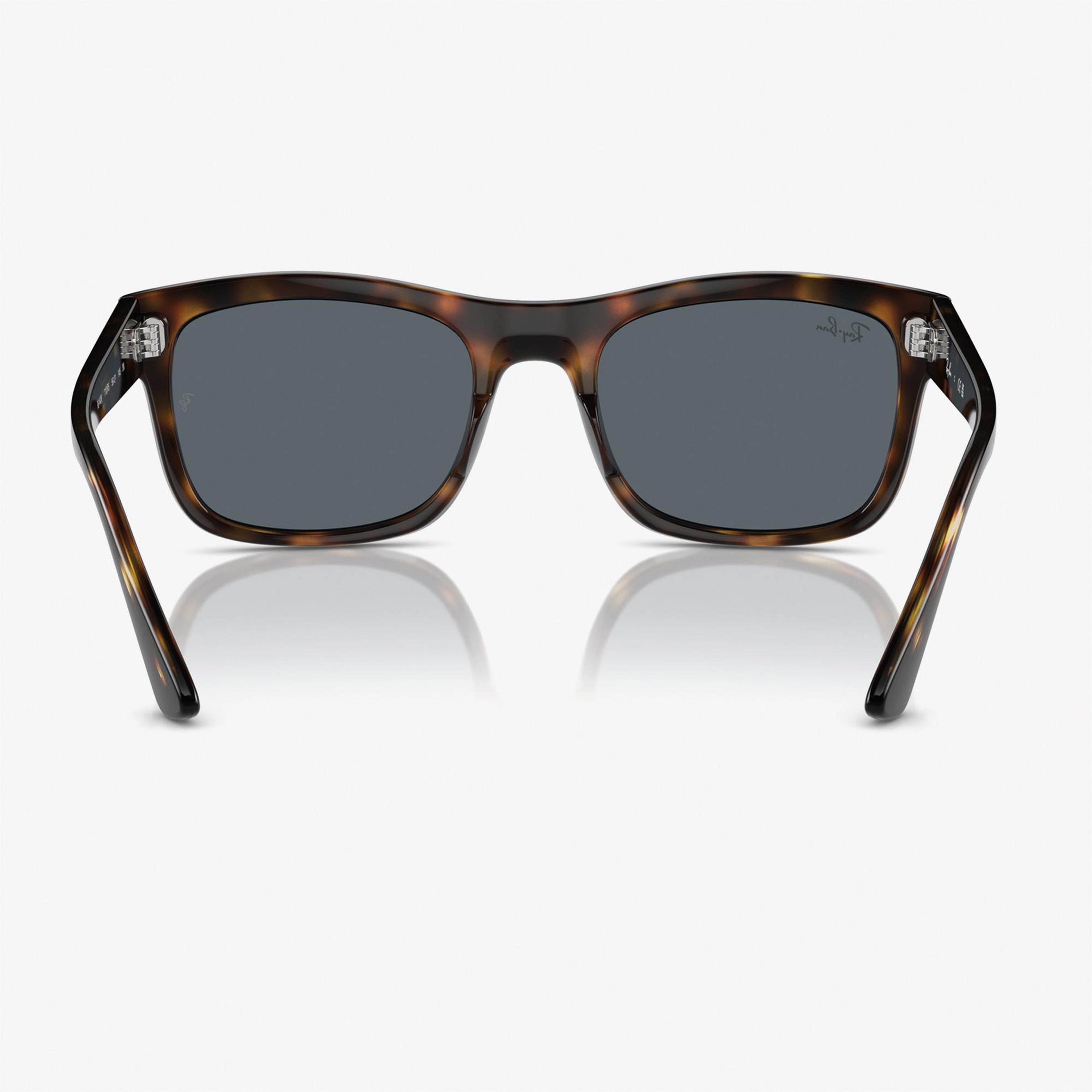 RAY-BAN 0RB4428 Propionate Unisex Kahverengi Güneş Gözlüğü