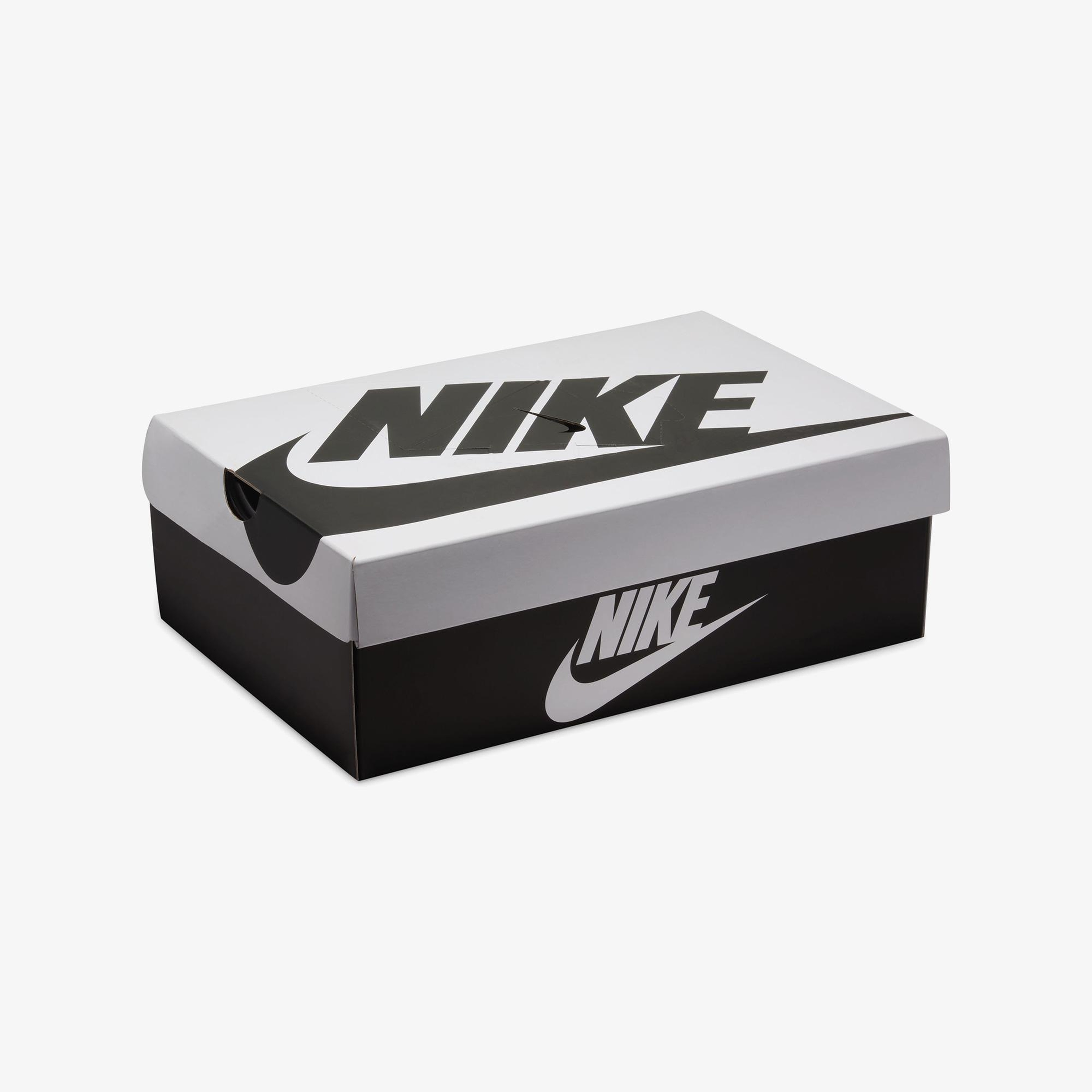 Nike Dunk Low Retro SE Erkek Siyah Spor Ayakkabı