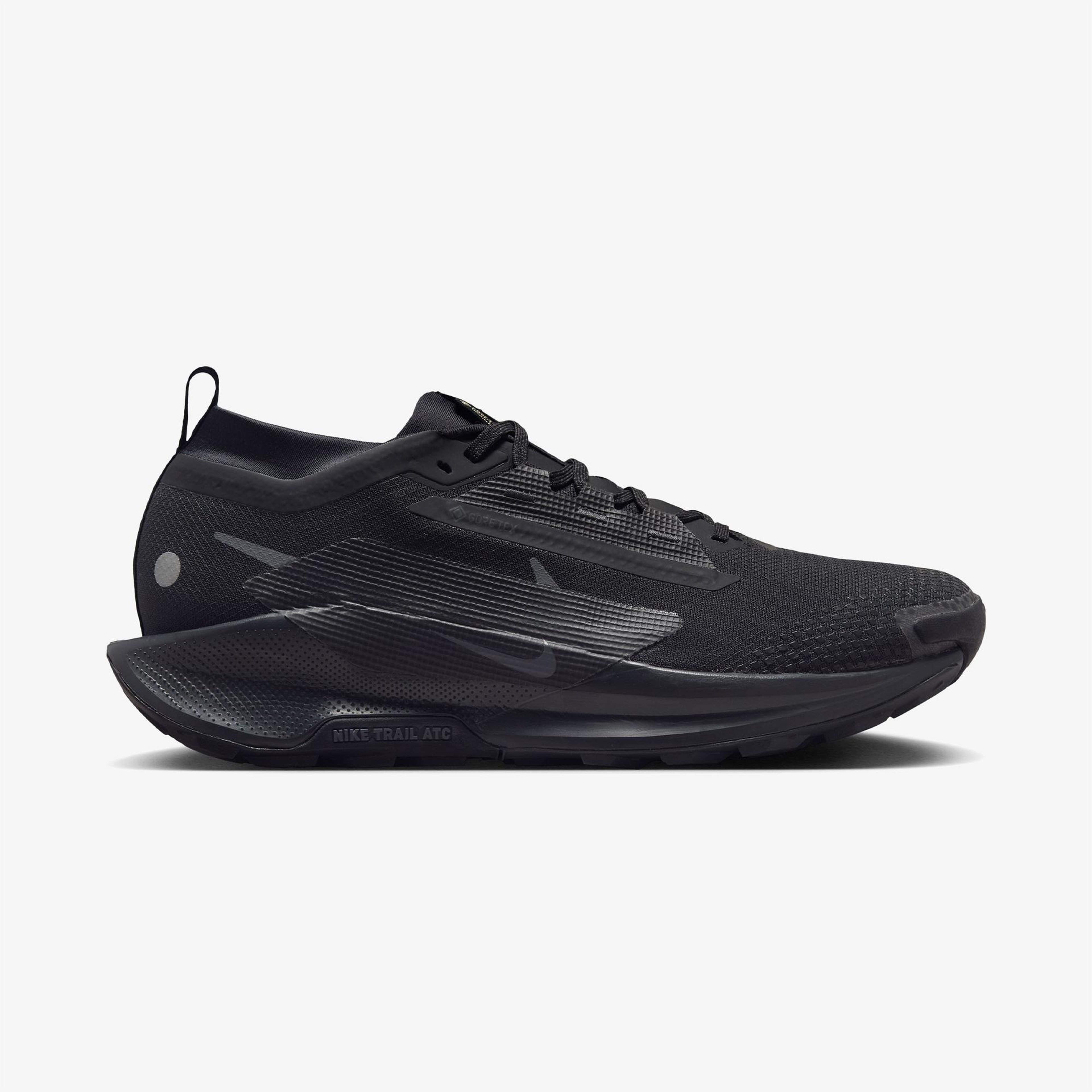 Nike Pegasus Trail 5 Gore-Tex Erkek Siyah Koşu Ayakkabısı
