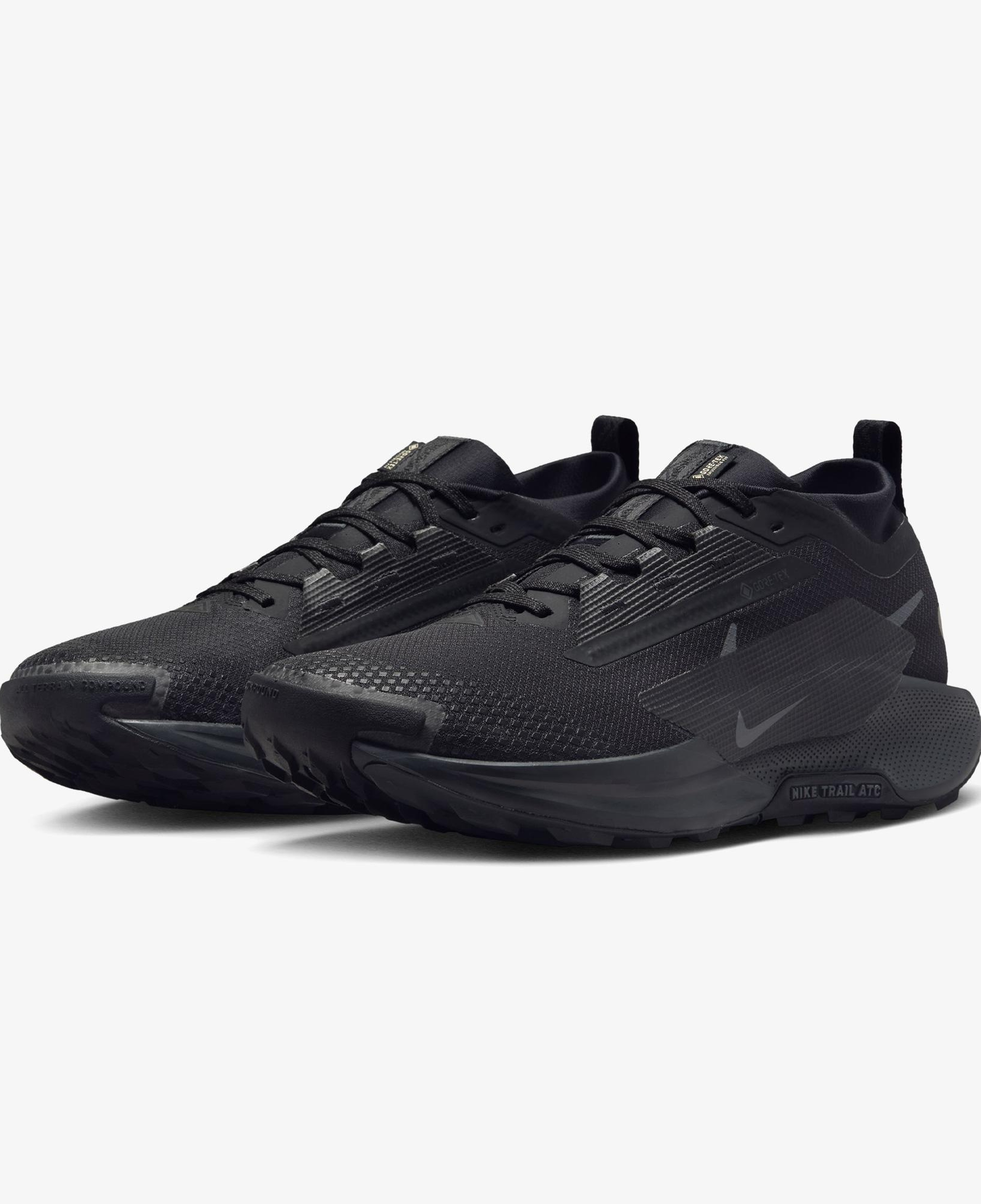 Nike Pegasus Trail 5 Gore-Tex Erkek Siyah Koşu Ayakkabısı