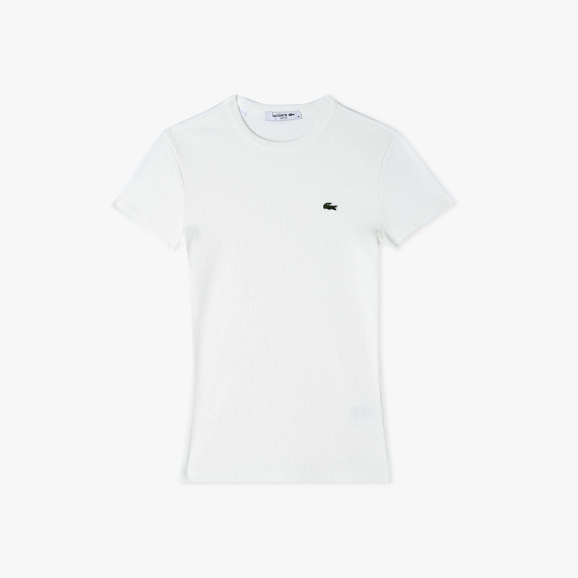 Kadın Slim Fit Bisiklet Yaka Beyaz T-Shirt