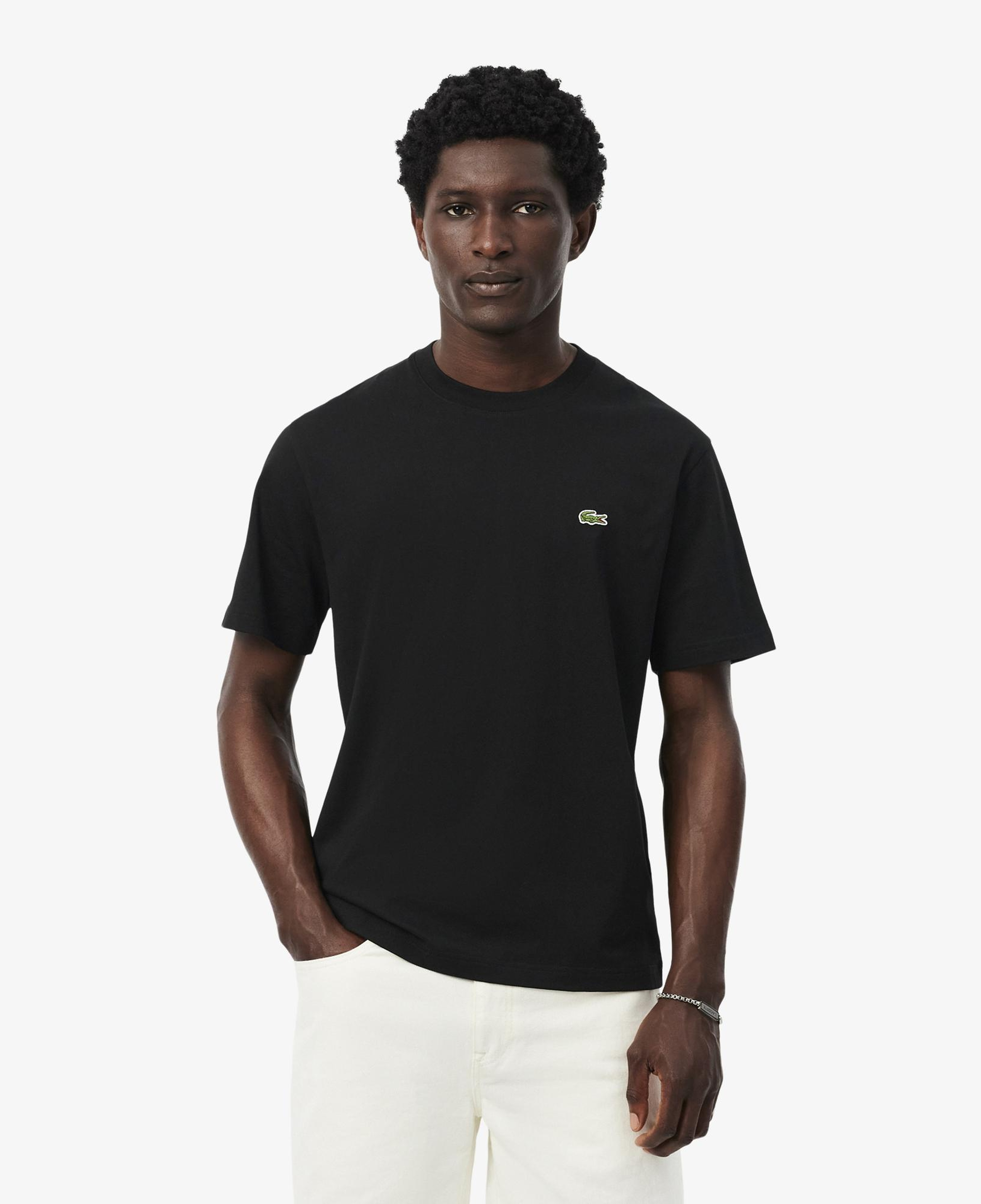 Erkek Classic Fit Bisiklet Yaka Siyah T-Shirt
