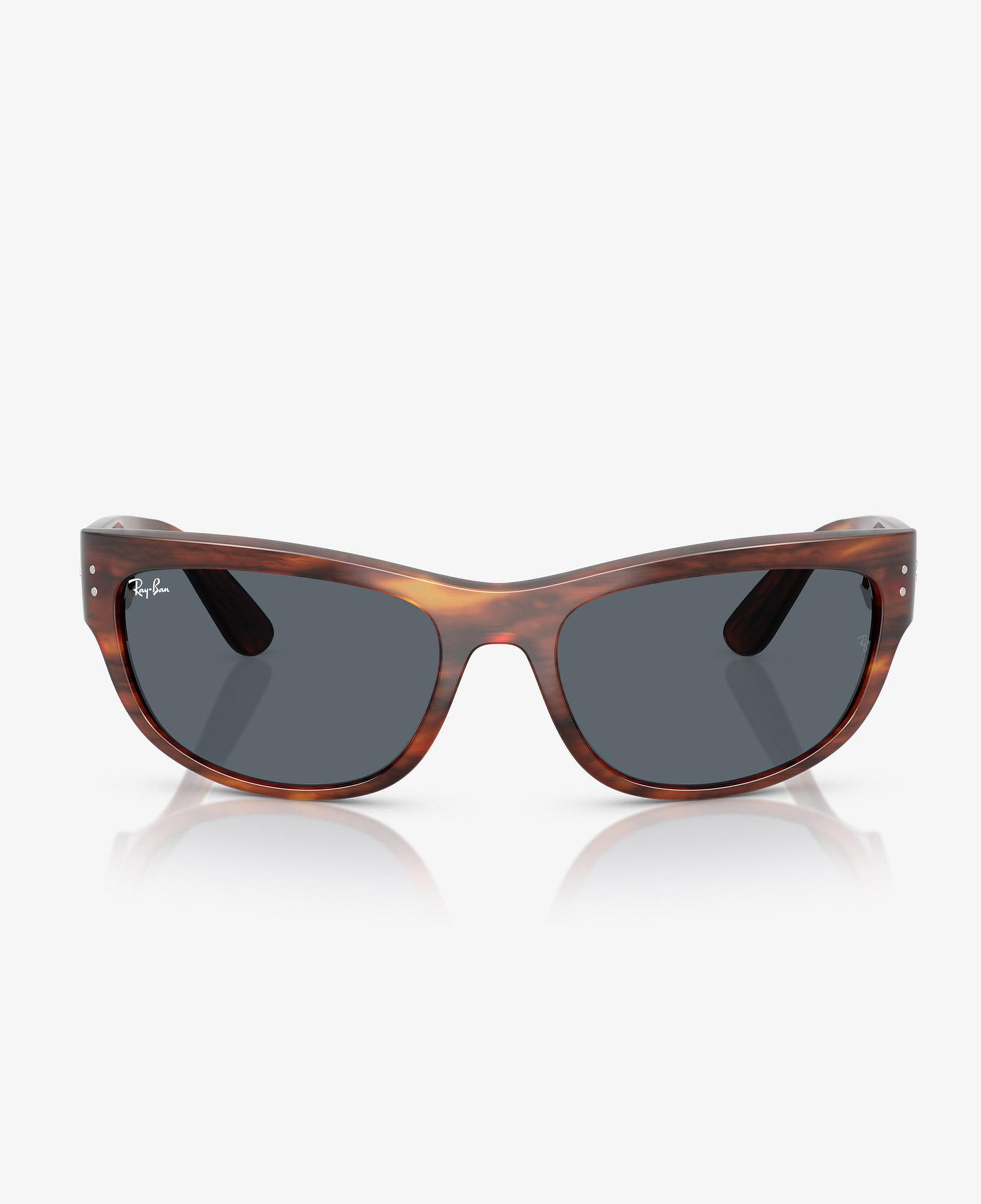Ray-Ban Mega Balorama RB2289 Unisex Kahverengi Güneş Gözlüğü