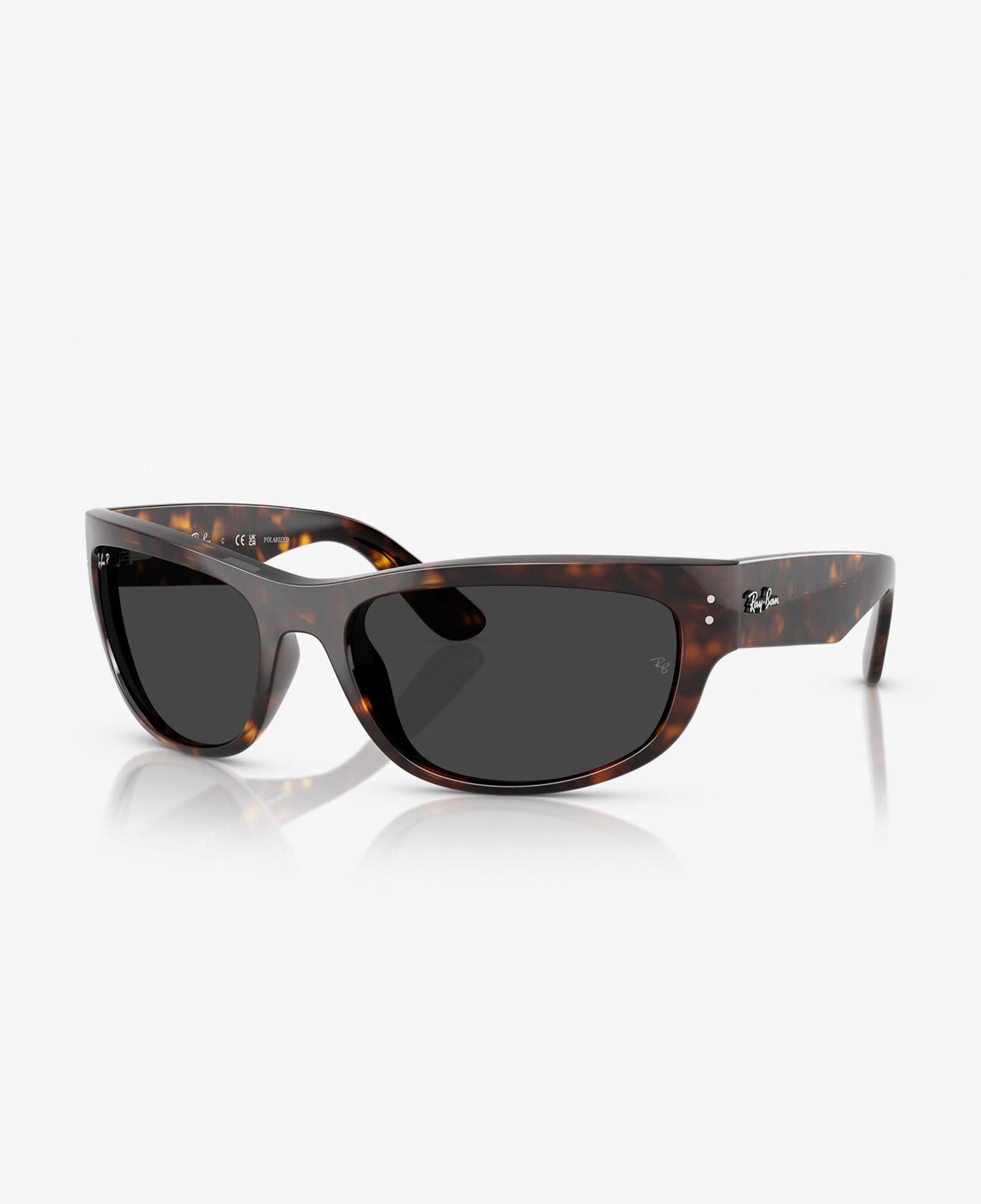 Ray-Ban Mega Balorama RB2289 Unisex Kahverengi Güneş Gözlüğü