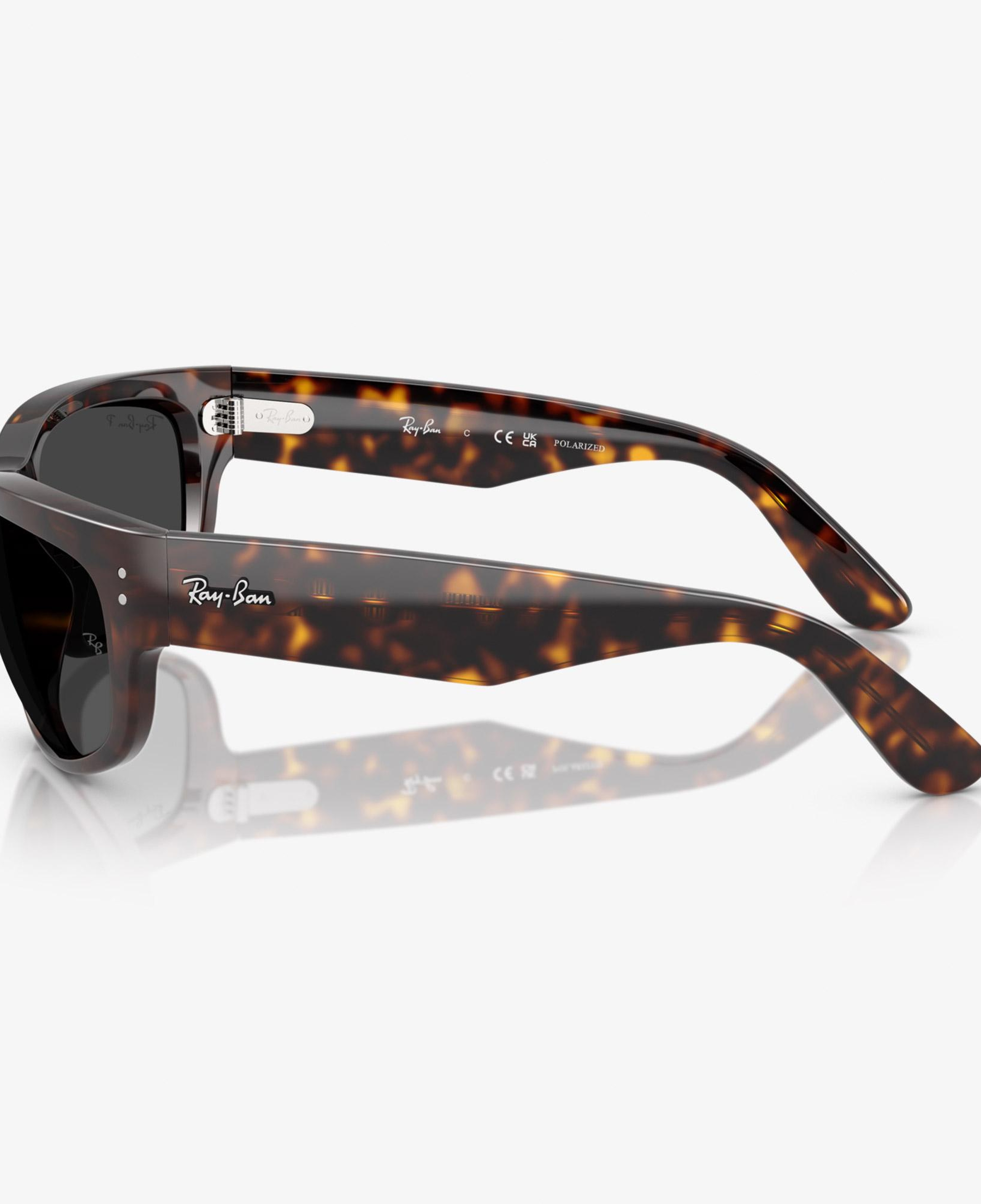 Ray-Ban Mega Balorama RB2289 Unisex Kahverengi Güneş Gözlüğü