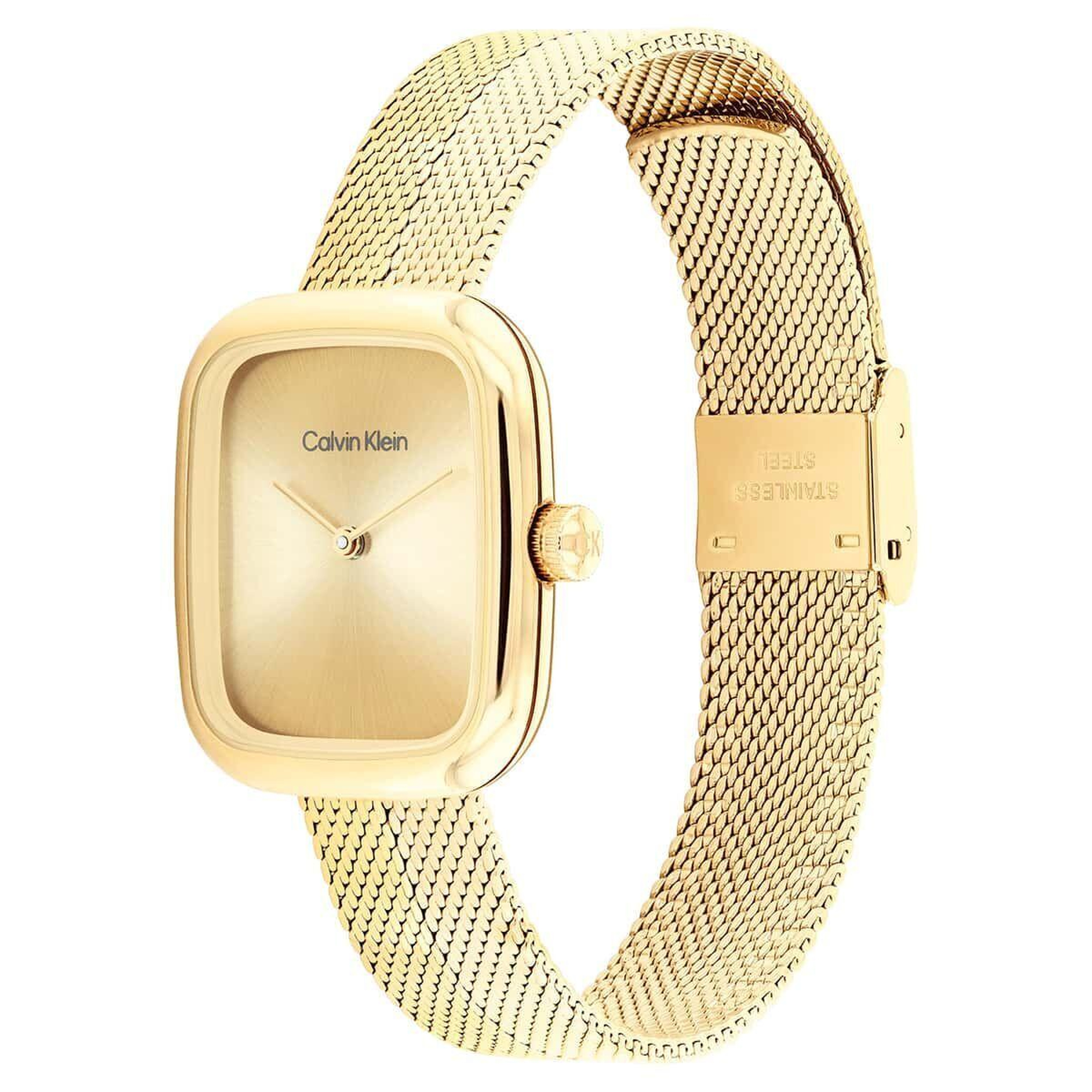 Calvin Klein CK25100099 Kadın Kol Saati