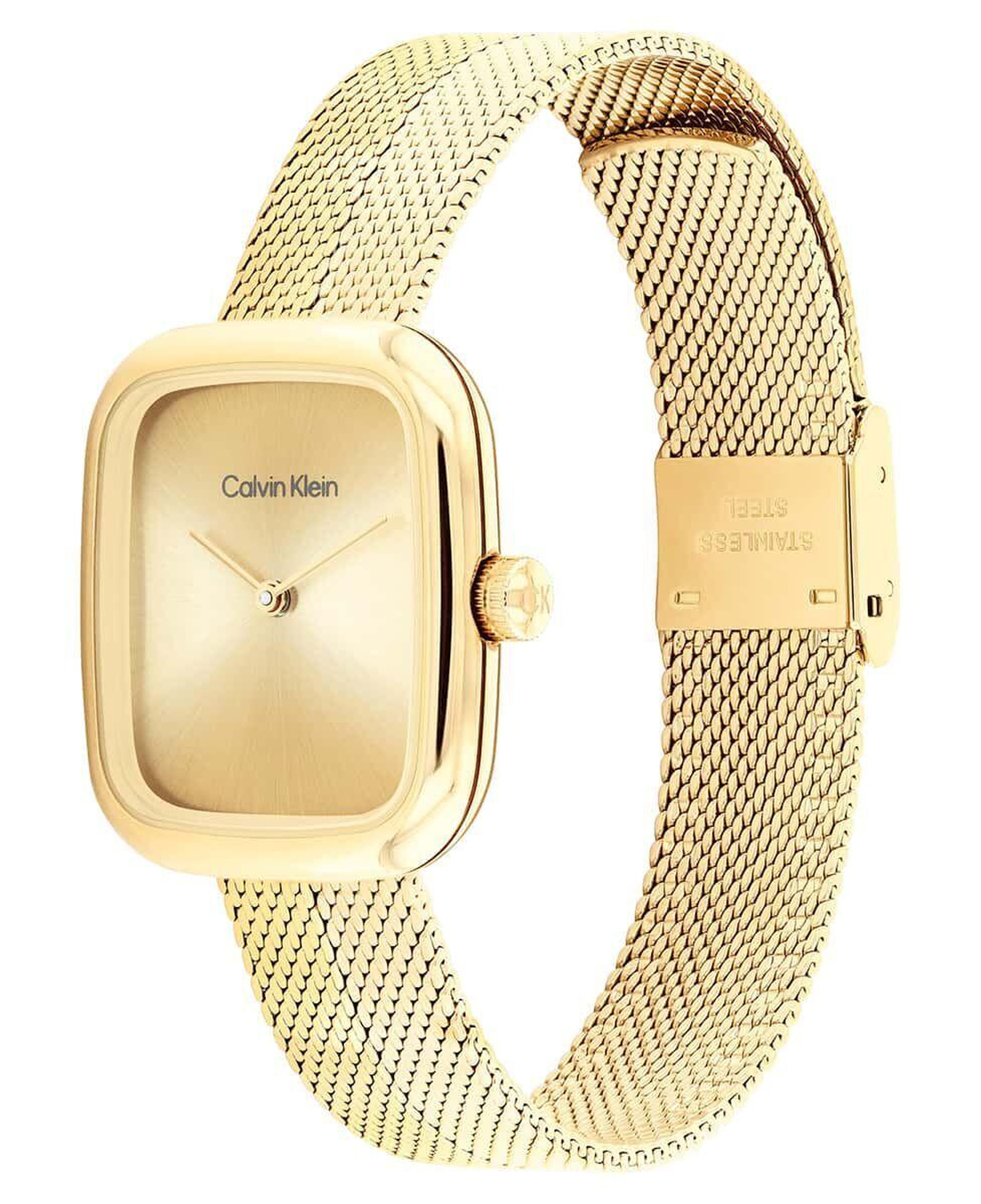 Calvin Klein CK25100099 Kadın Kol Saati
