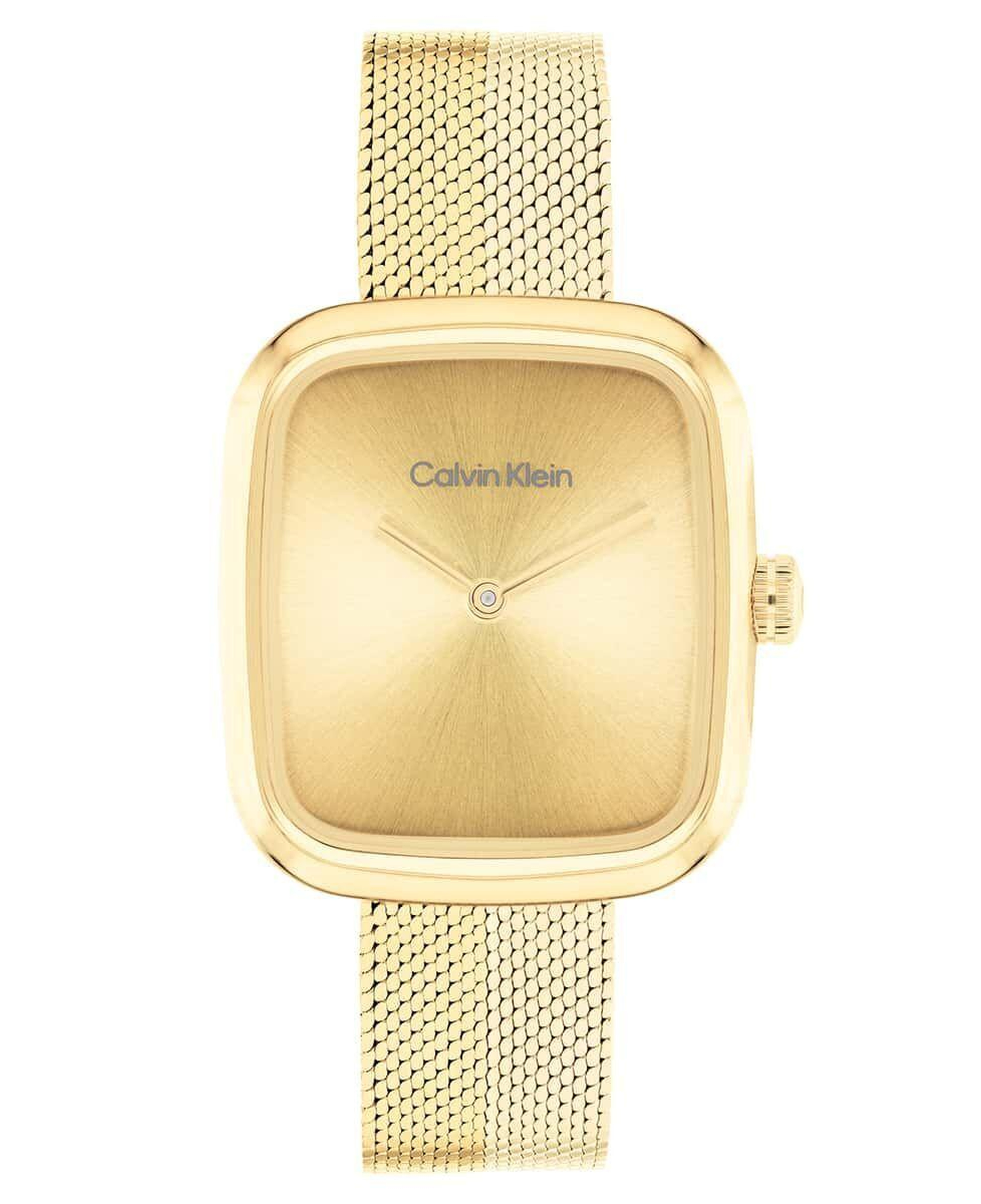 Calvin Klein CK25100099 Kadın Kol Saati