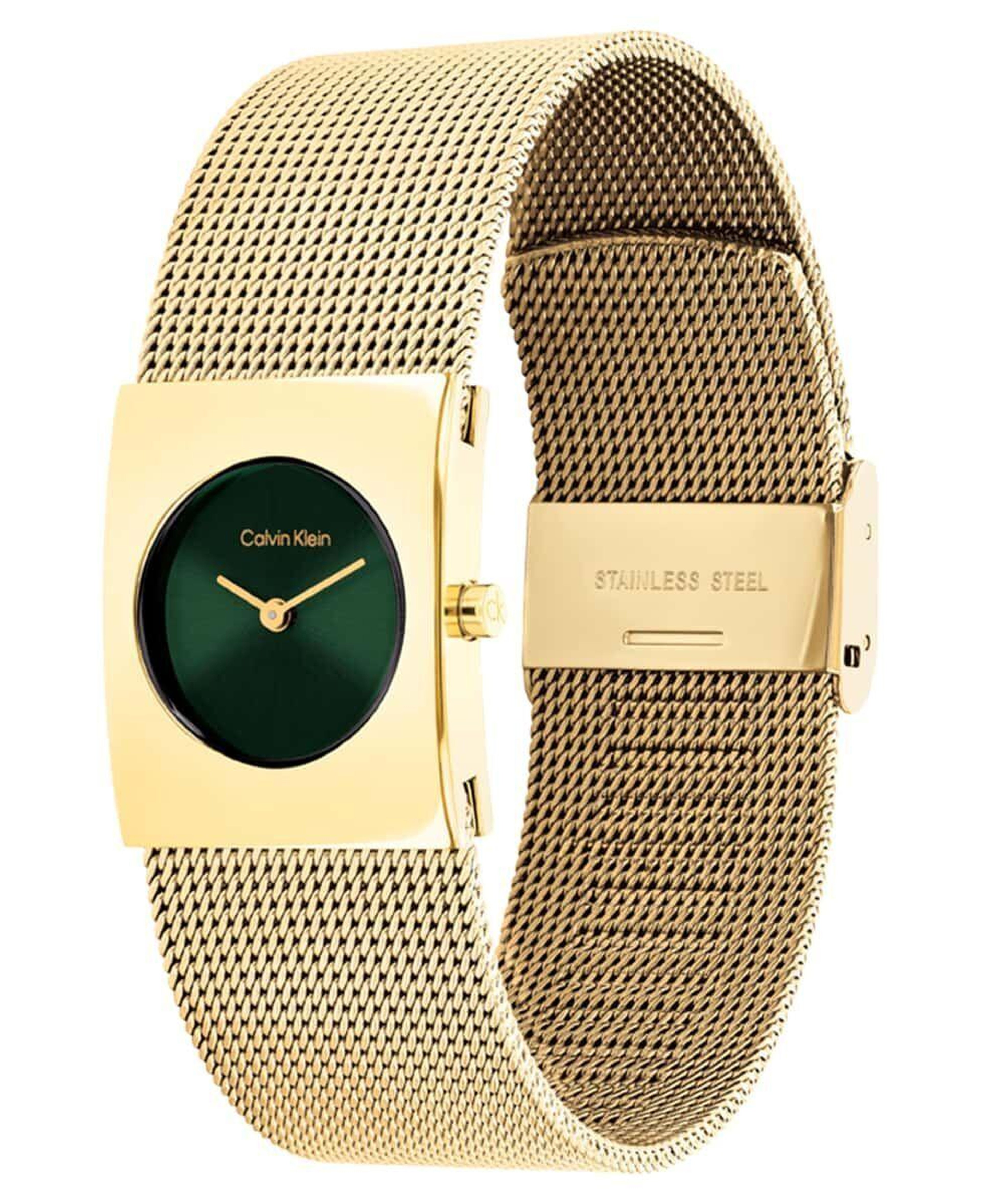 Calvin Klein CK25100136 Kadın Kol Saati