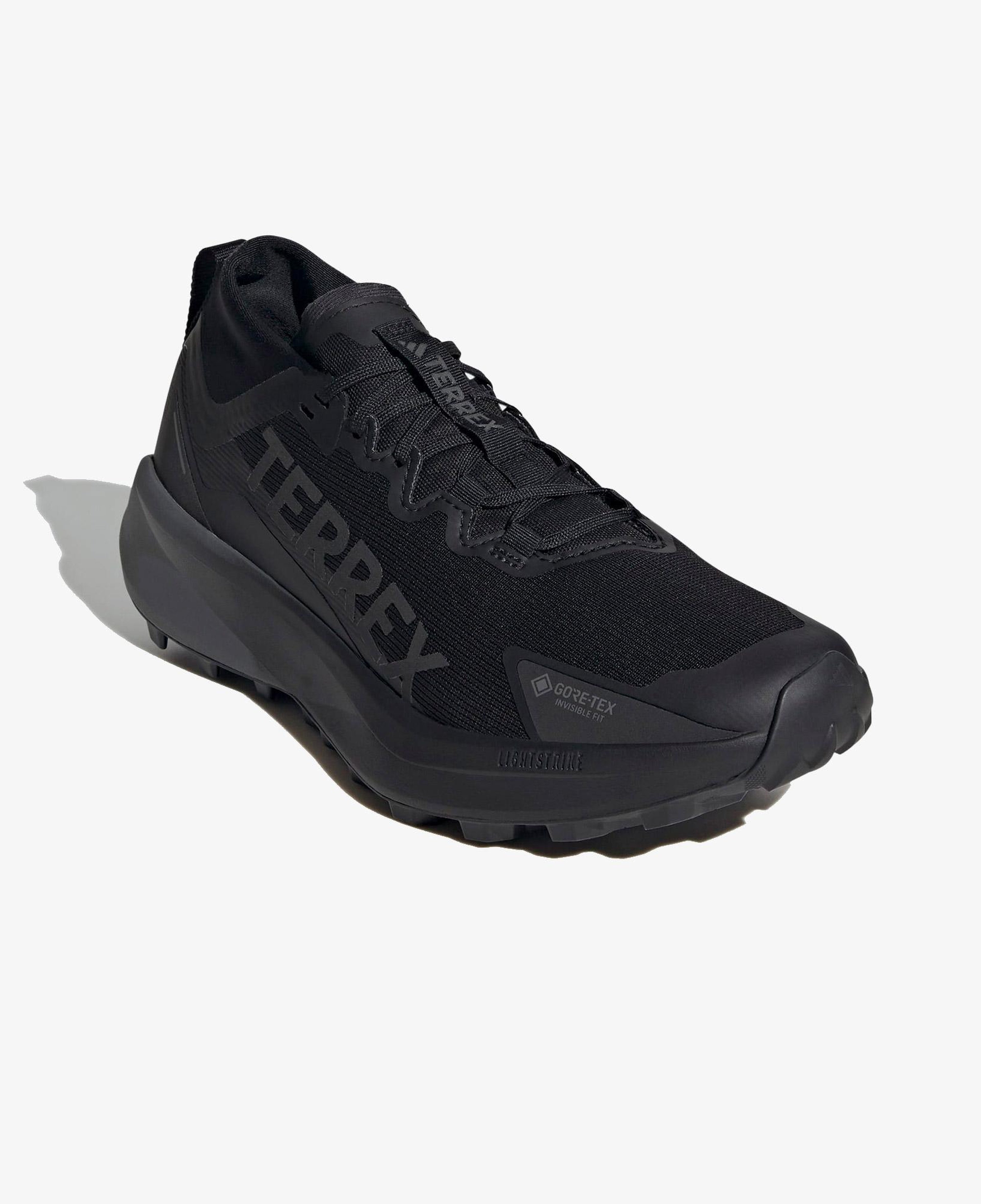 adidas Terrex Agravic Gore-Tex Erkek Siyah Koşu Ayakkabısı