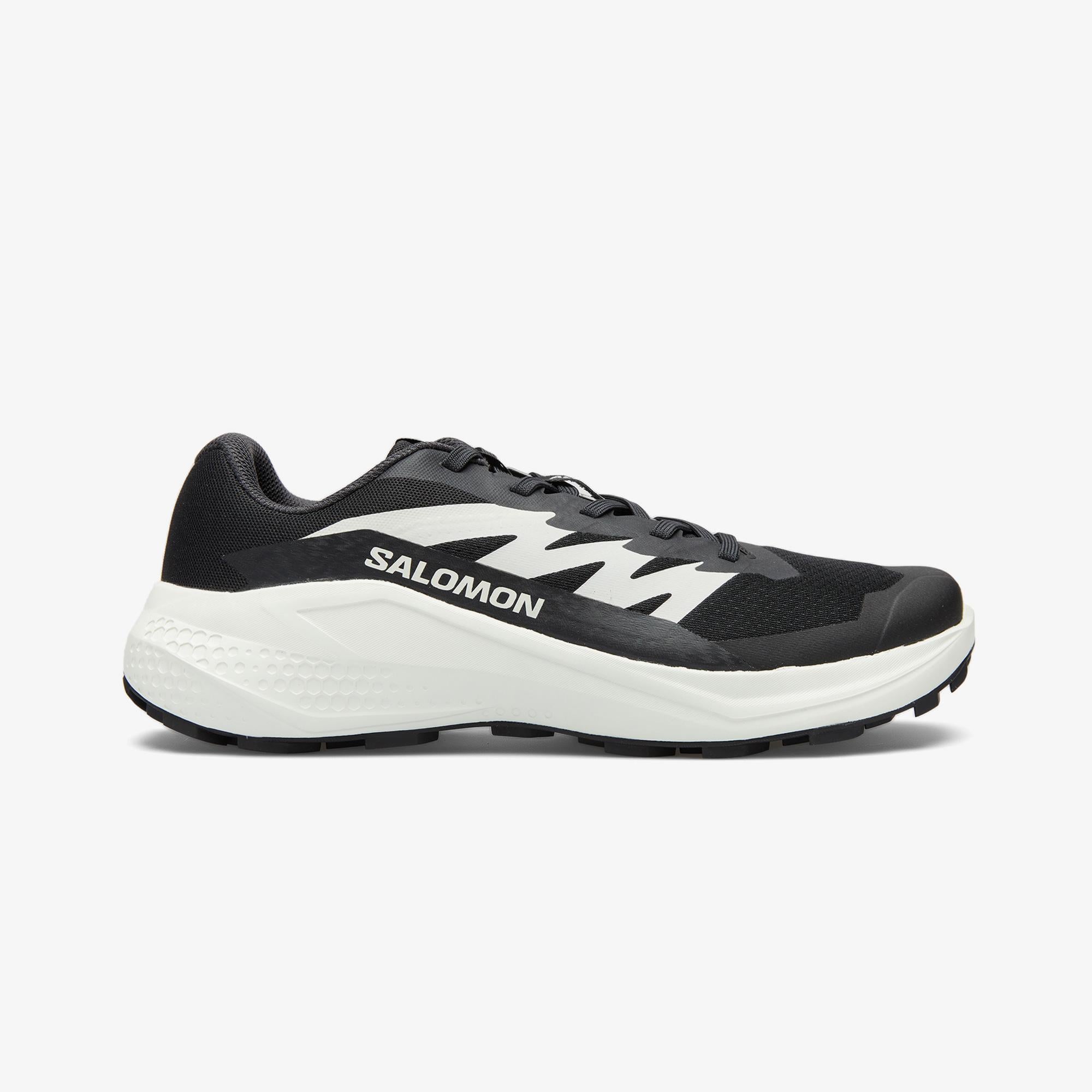 Salomon Alphaglide Erkek Siyah Koşu Ayakkabısı