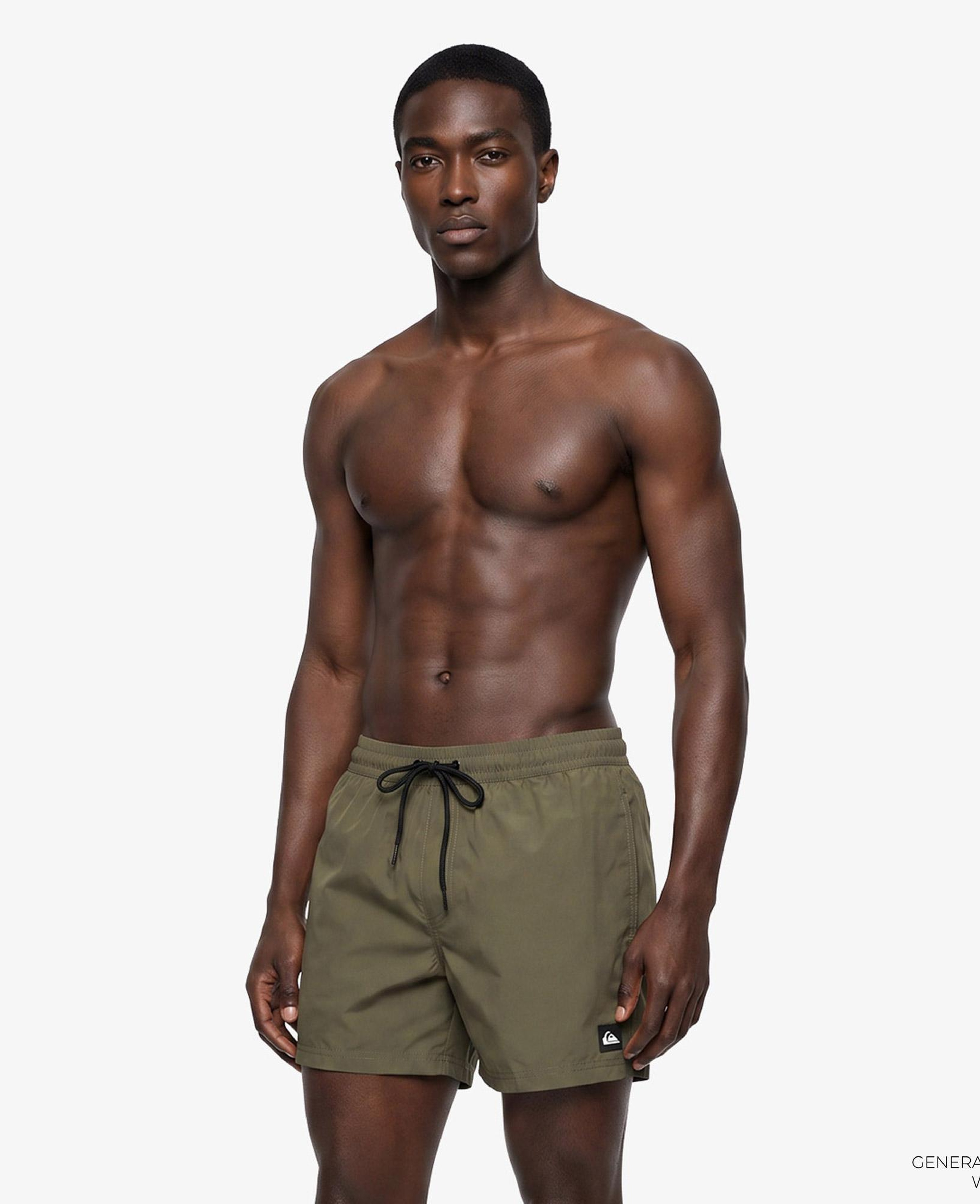 Quiksilver Everyday  Erkek Yeşil Deniz Şortu