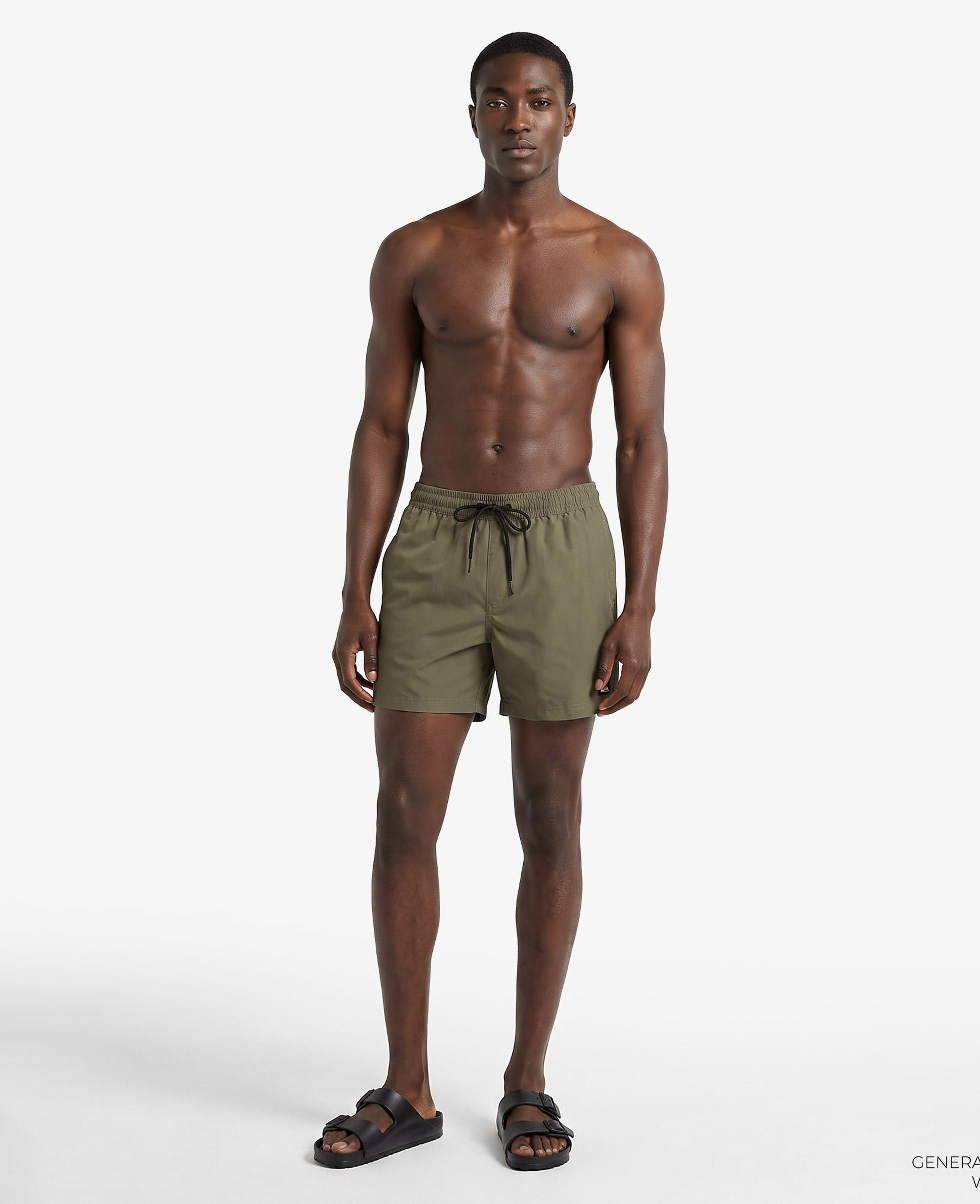 Quiksilver Everyday  Erkek Yeşil Deniz Şortu