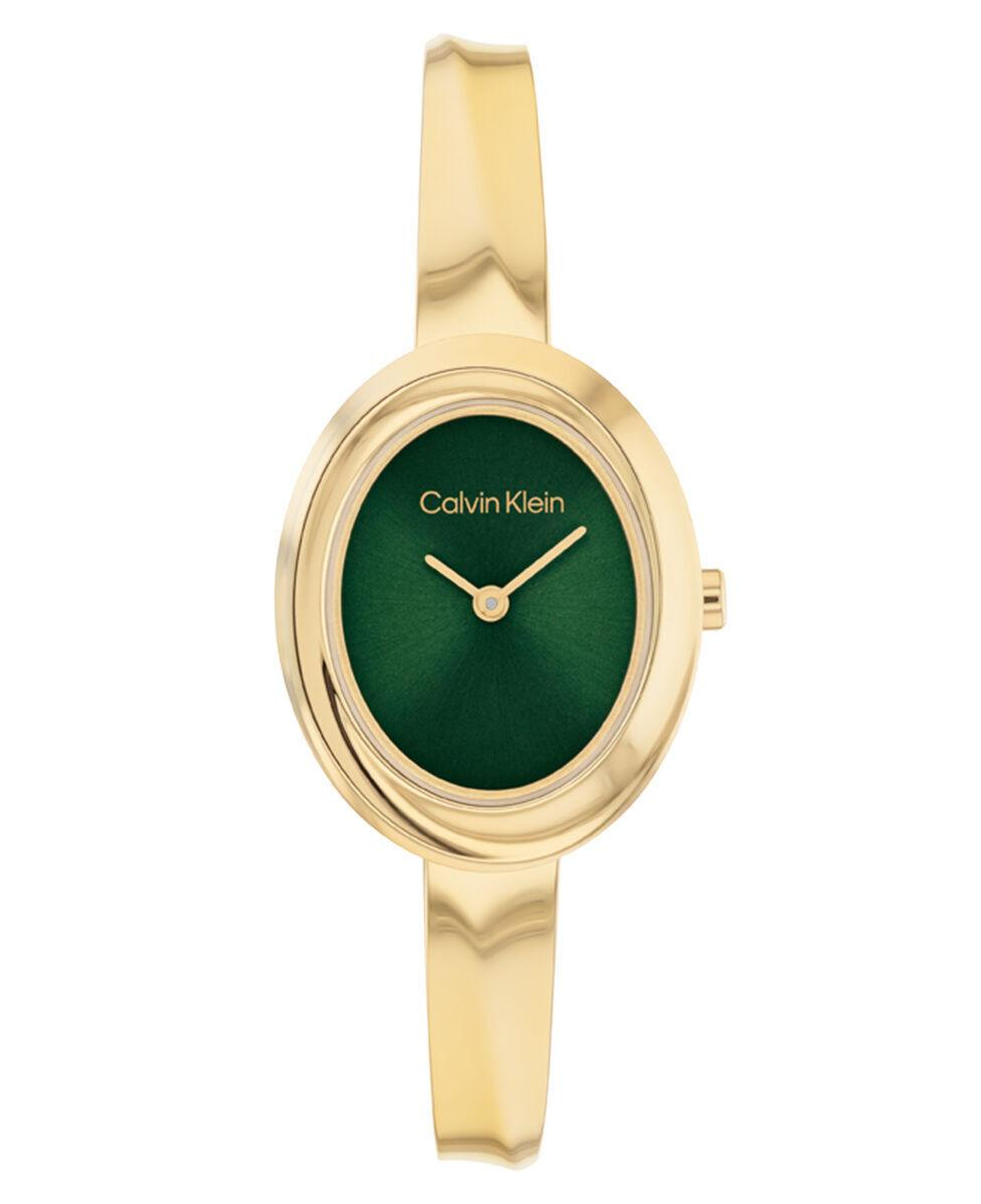 Calvin Klein CK25100203 Kadın Kol Saati