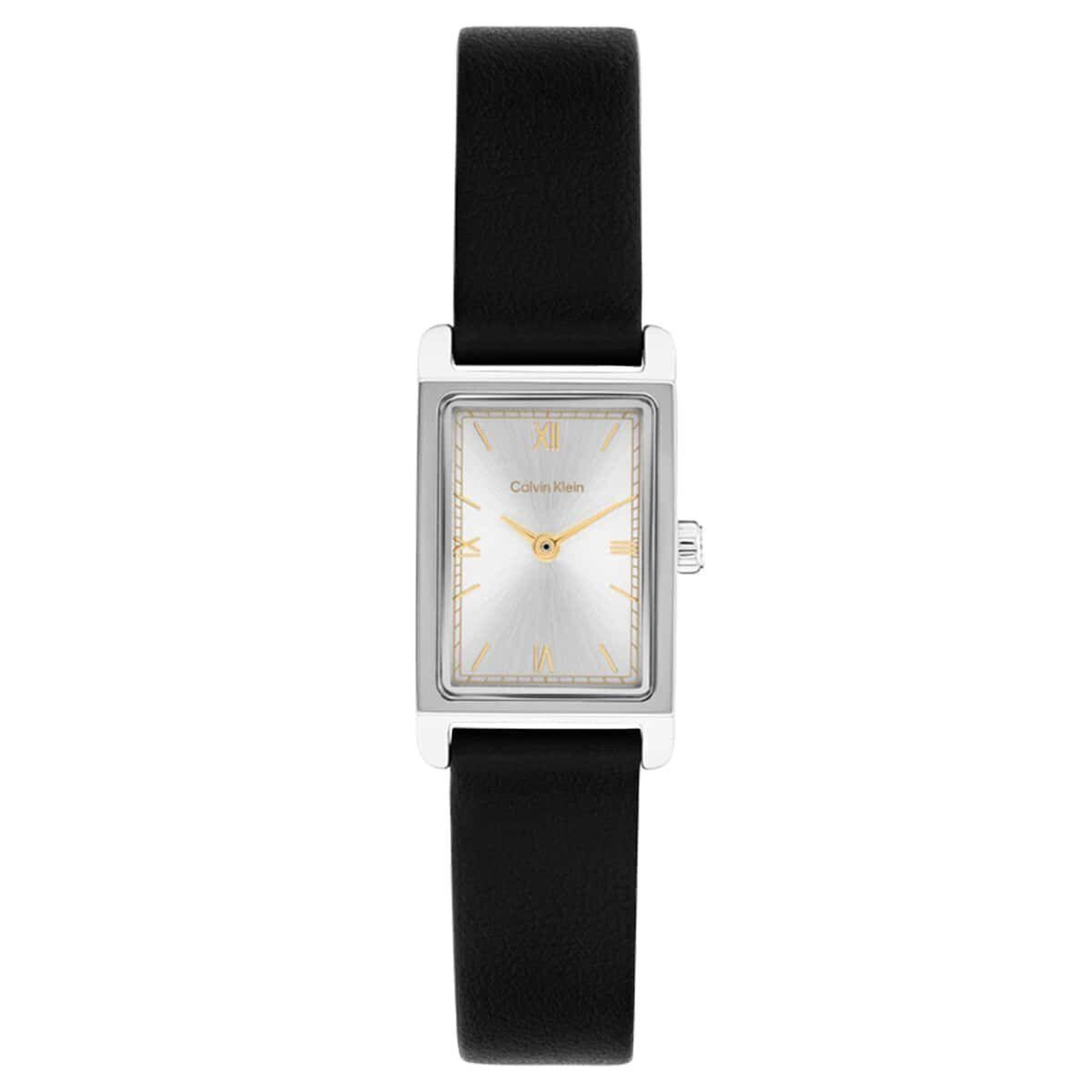 Calvin Klein CK25100208 Kadın Kol Saati