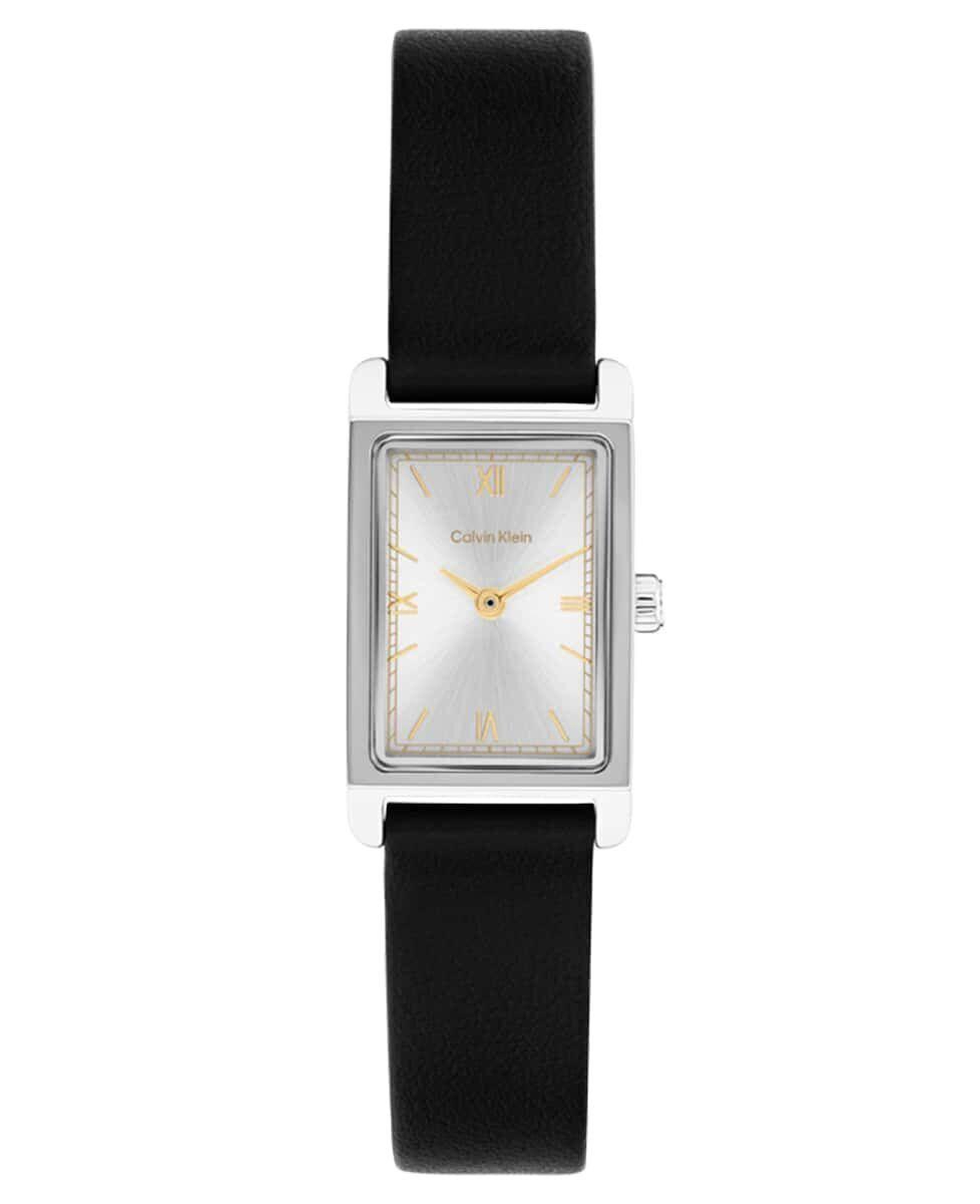 Calvin Klein CK25100208 Kadın Kol Saati