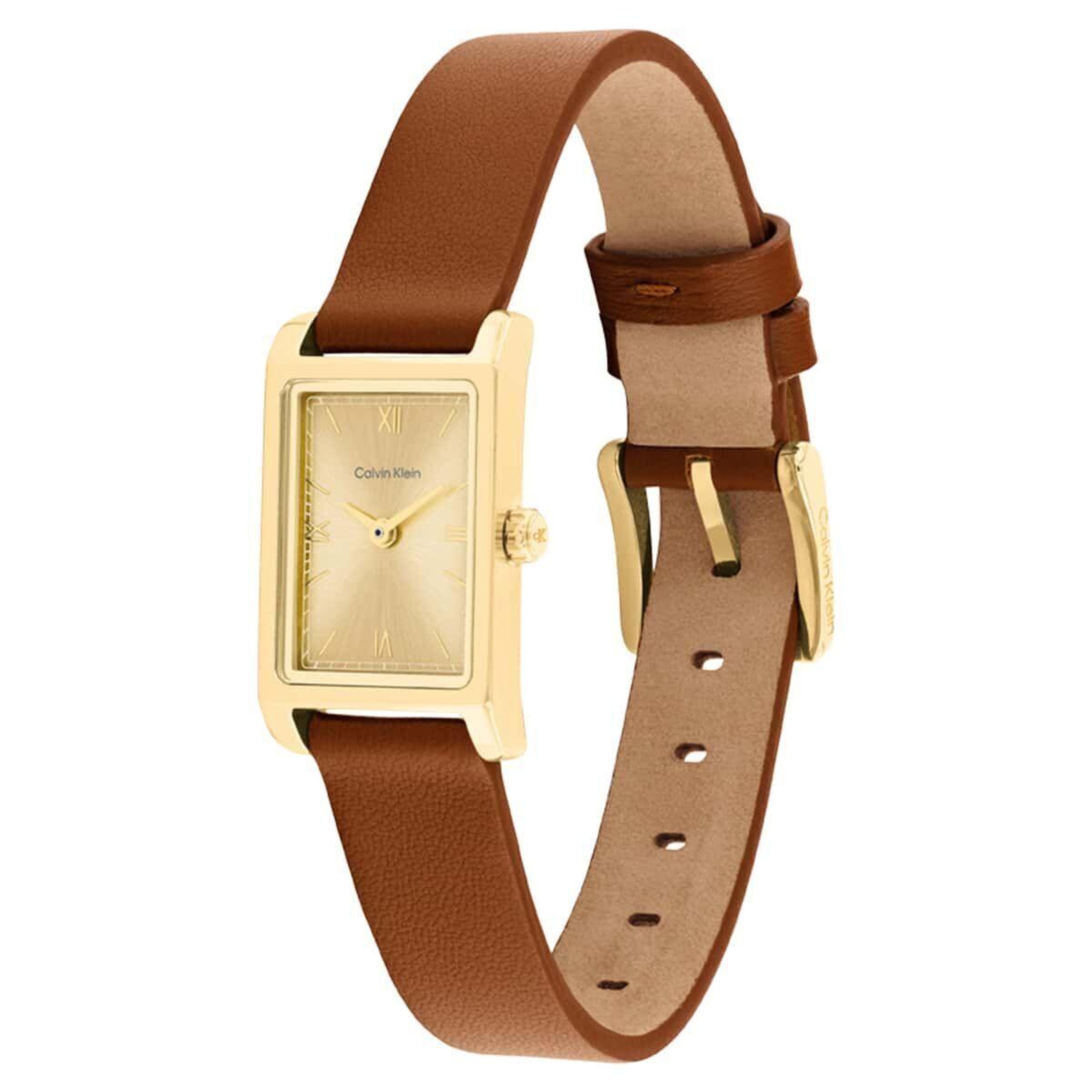 Calvin Klein CK25100209 Kadın Kol Saati
