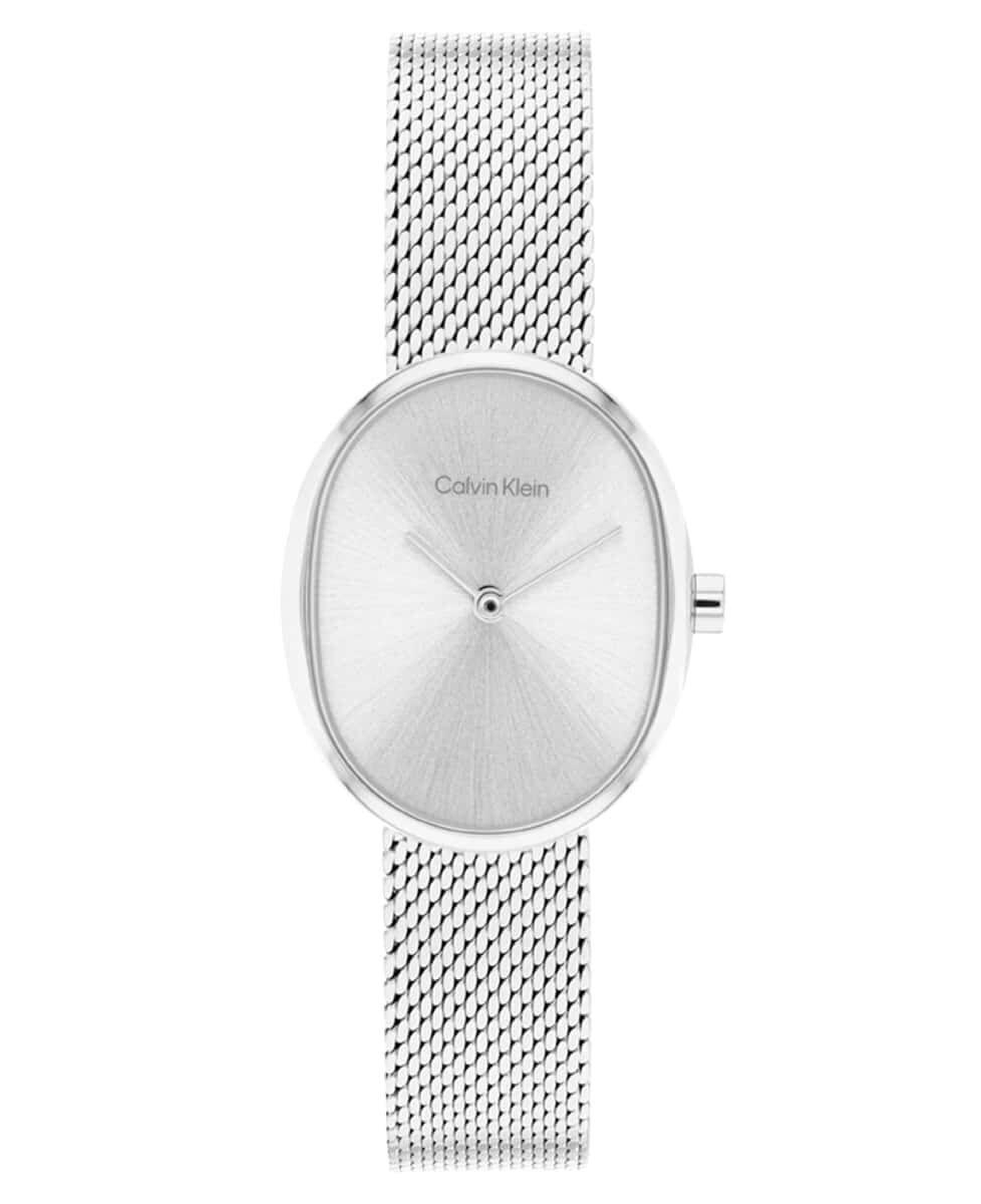 Calvin Klein CK25100173 Kadın Kol Saati
