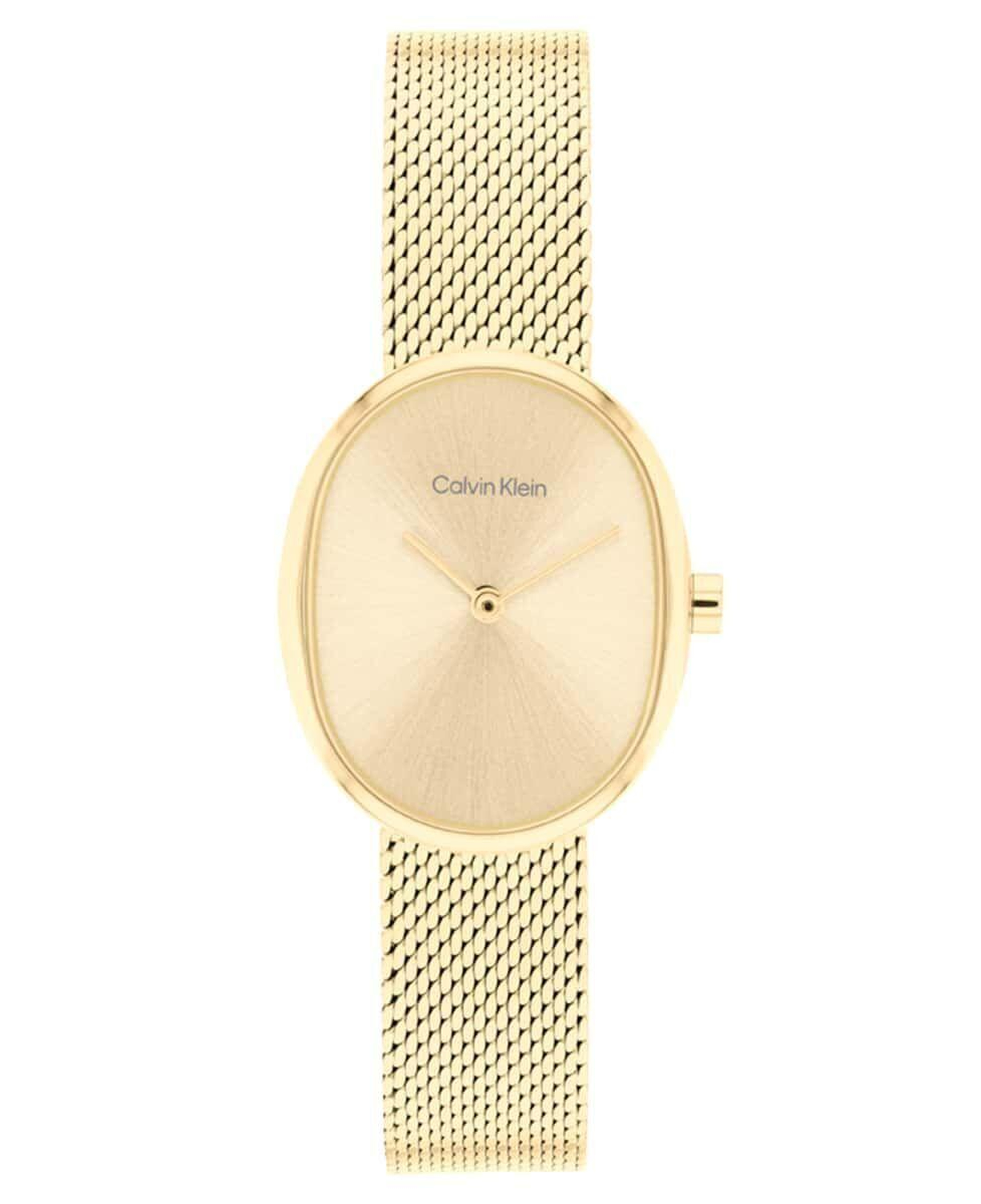 Calvin Klein CK25100174 Kadın Kol Saati