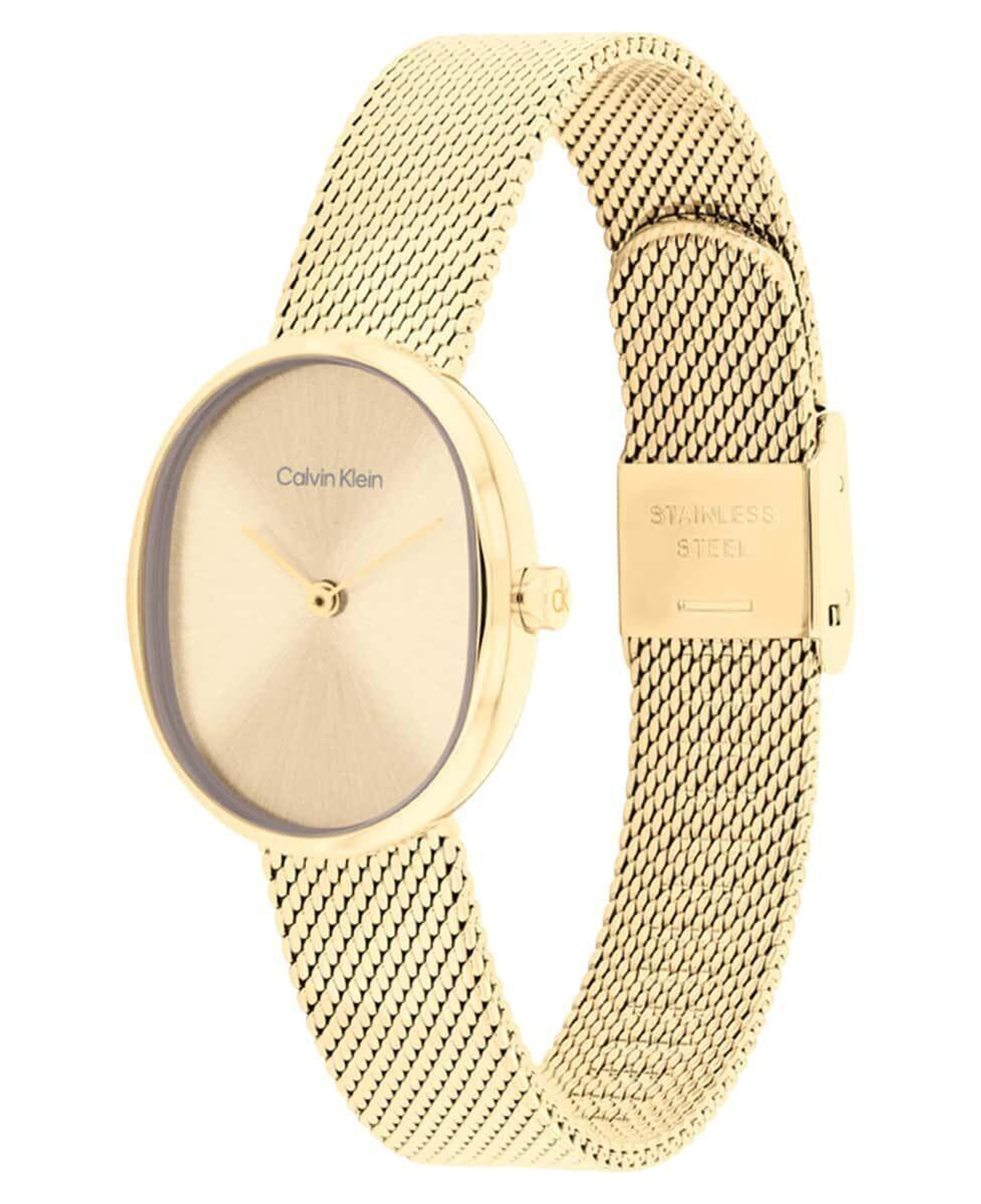 Calvin Klein CK25100174 Kadın Kol Saati