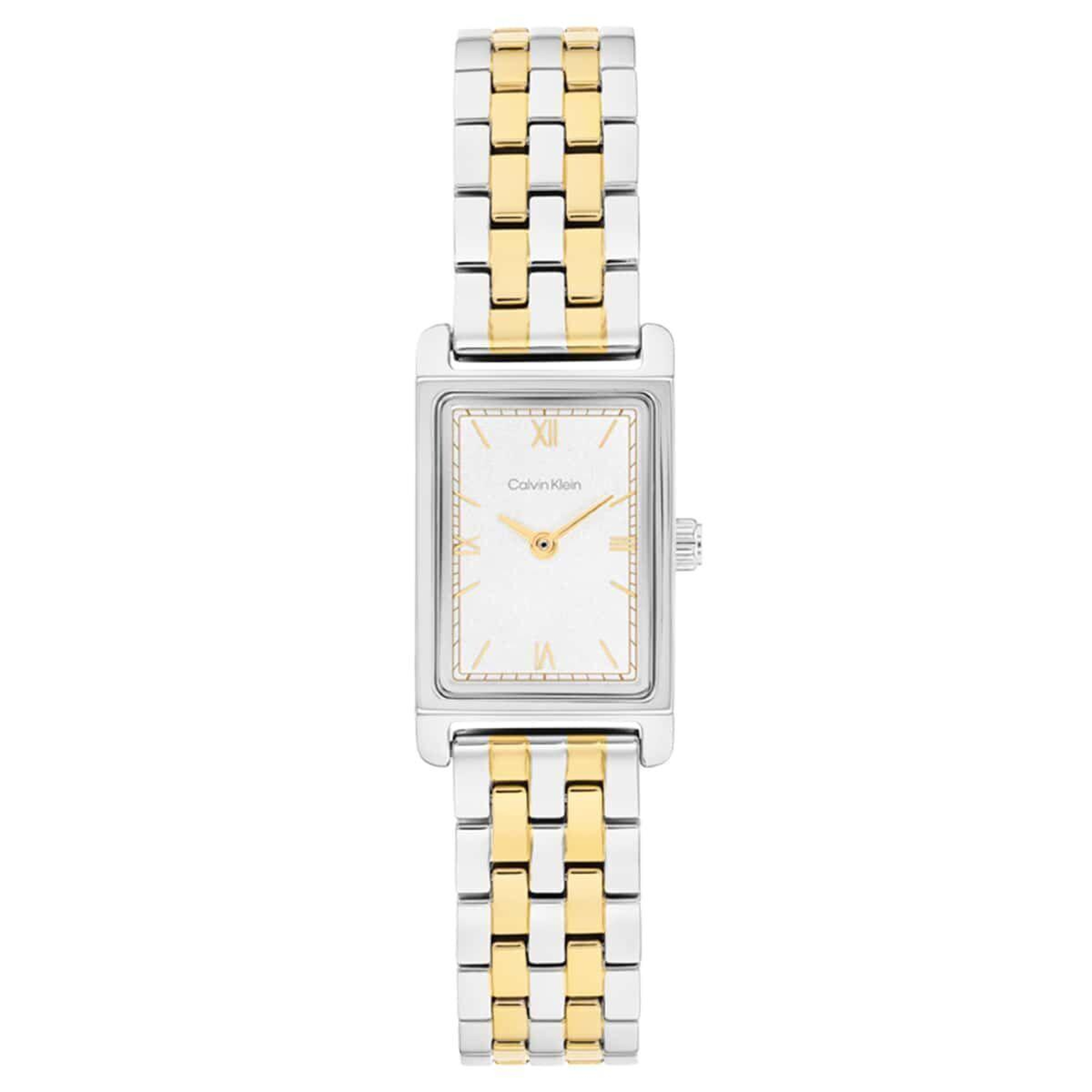 Calvin Klein CK25100199 Kadın Kol Saati