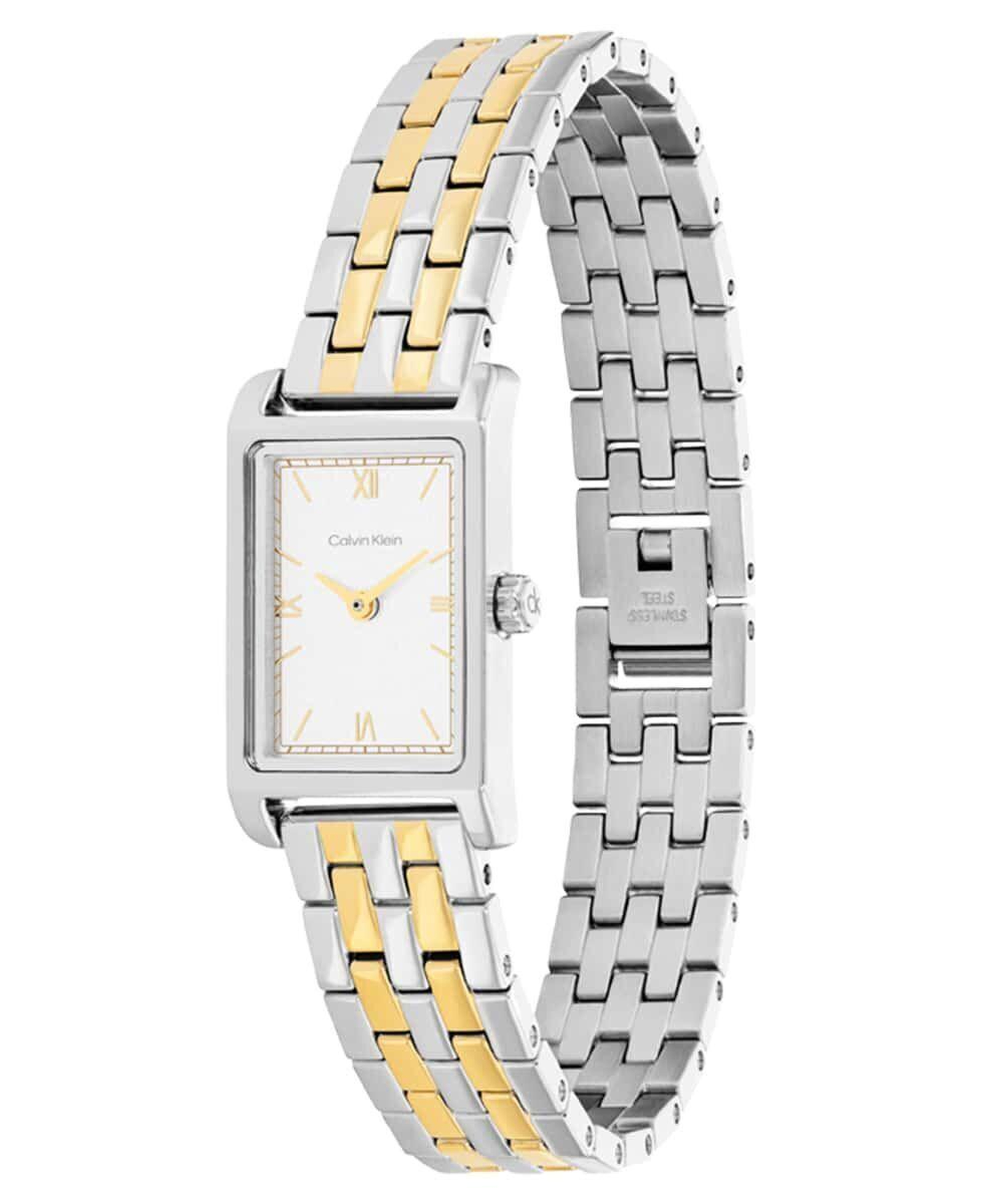 Calvin Klein CK25100199 Kadın Kol Saati