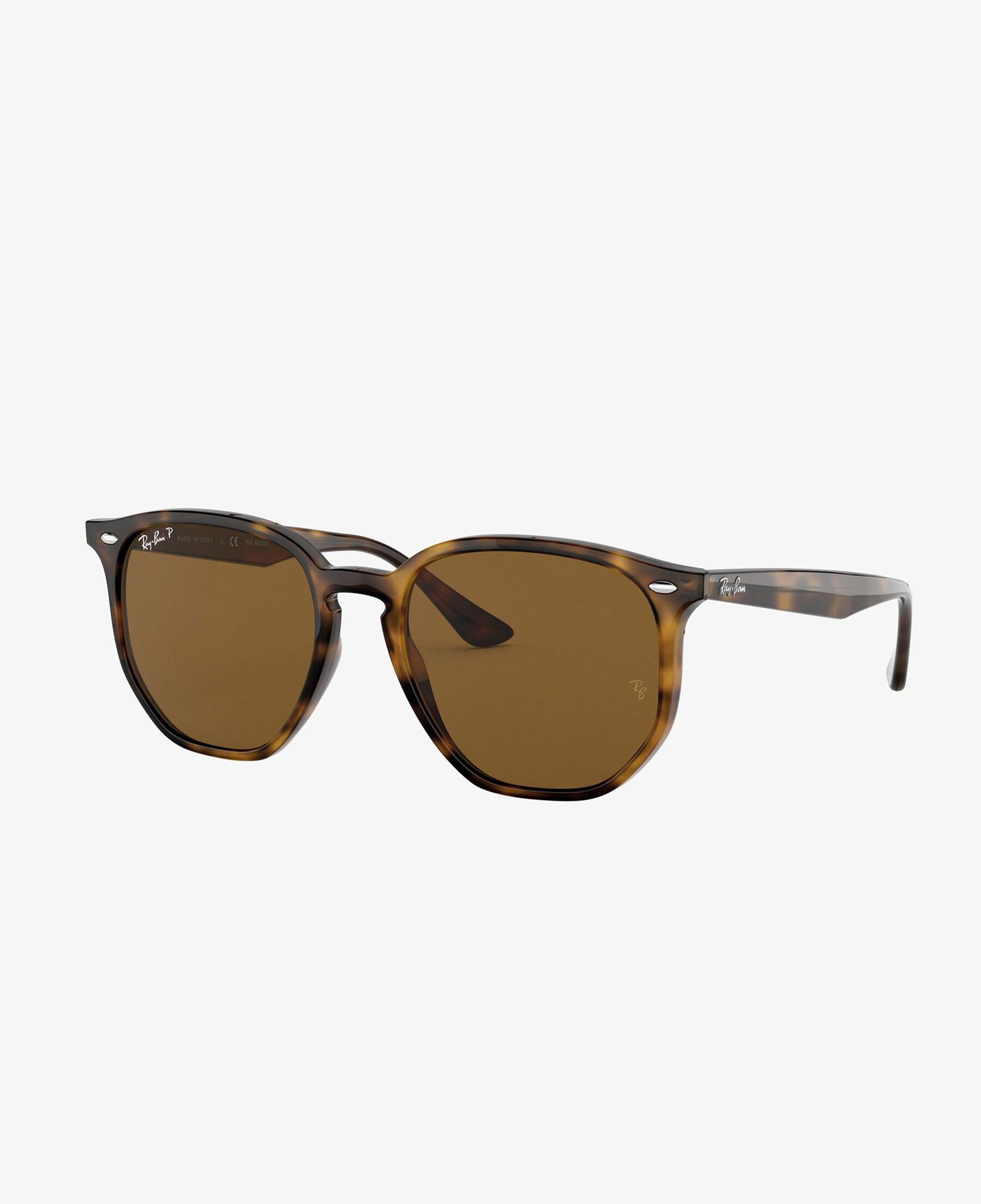 RAY-BAN 0RB4306 Unisex Havana Güneş Gözlüğü