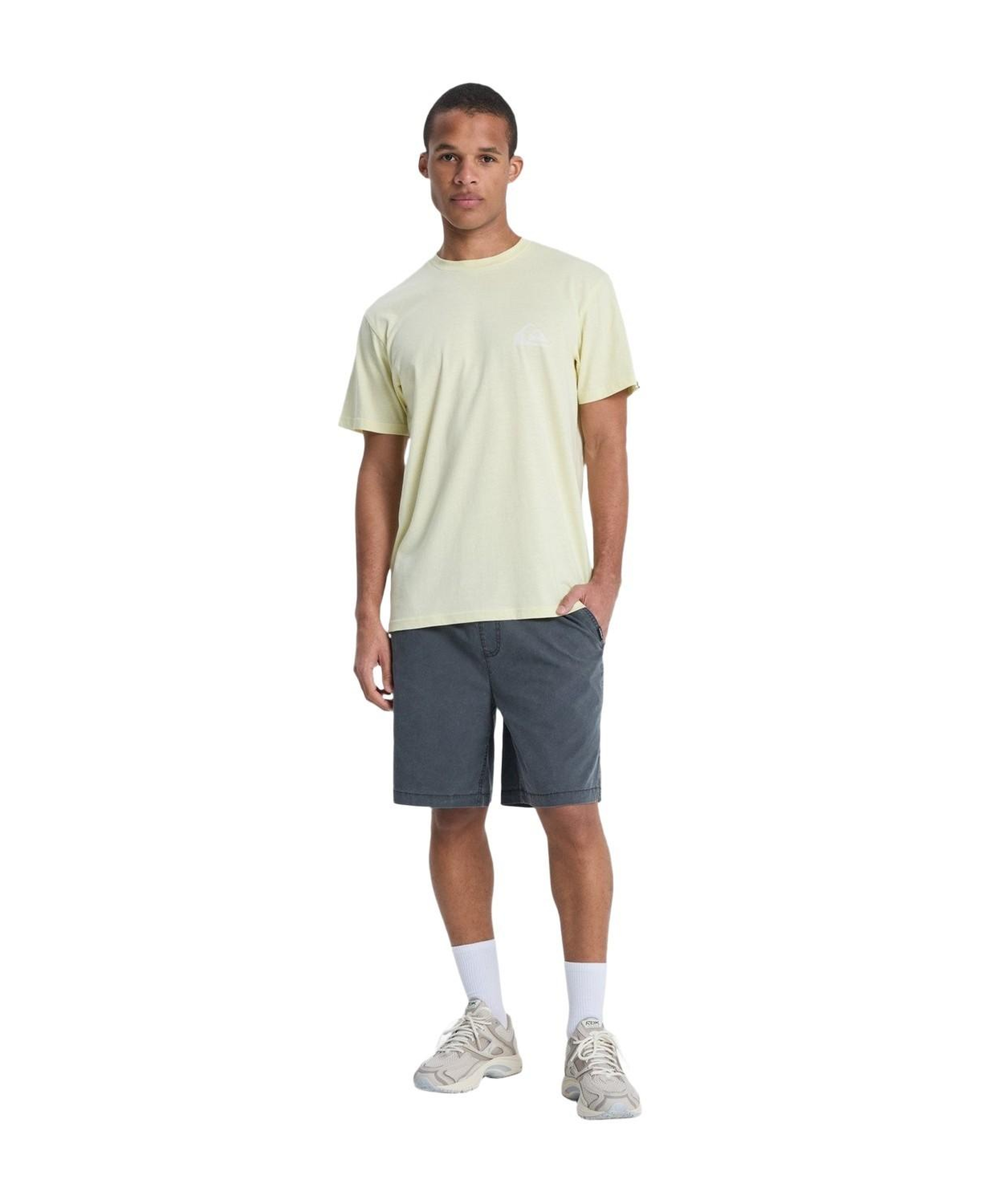 Quiksilver Taxerws Erkek Siyah Şort