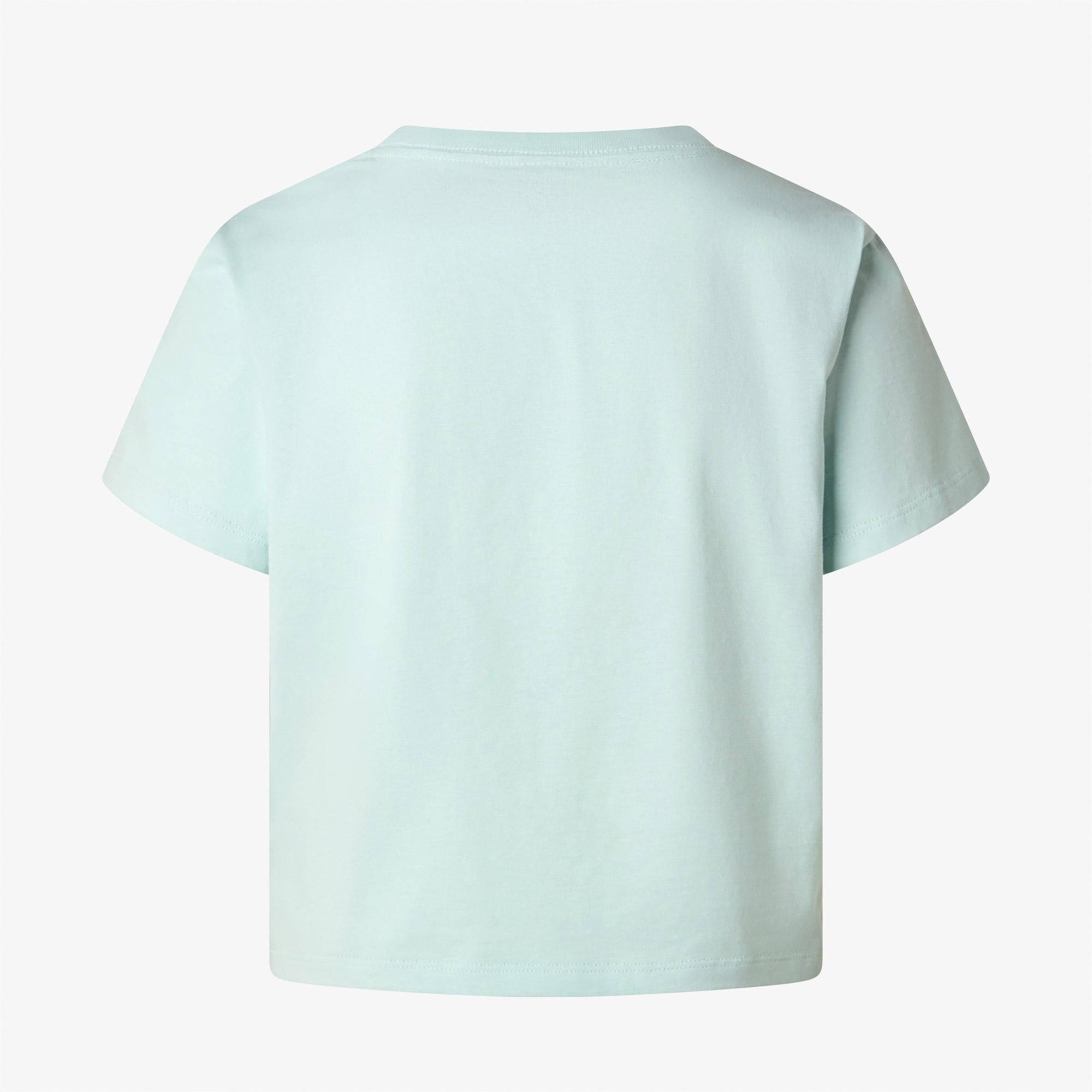 The North Face  Essential Regular Kadın Yeşil T-Shirt