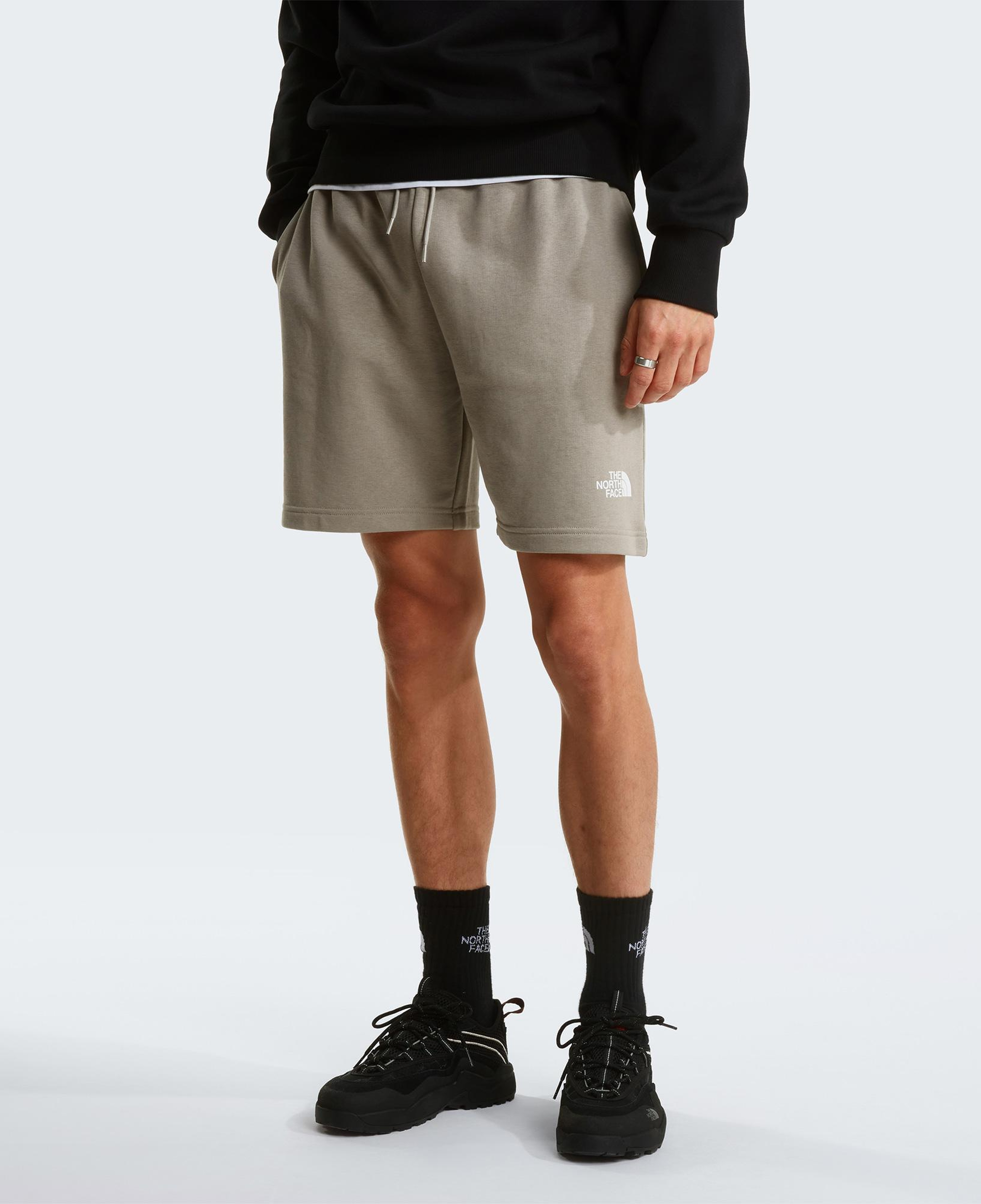 The North Face Simple Dome Light Regular Erkek Krem Şort