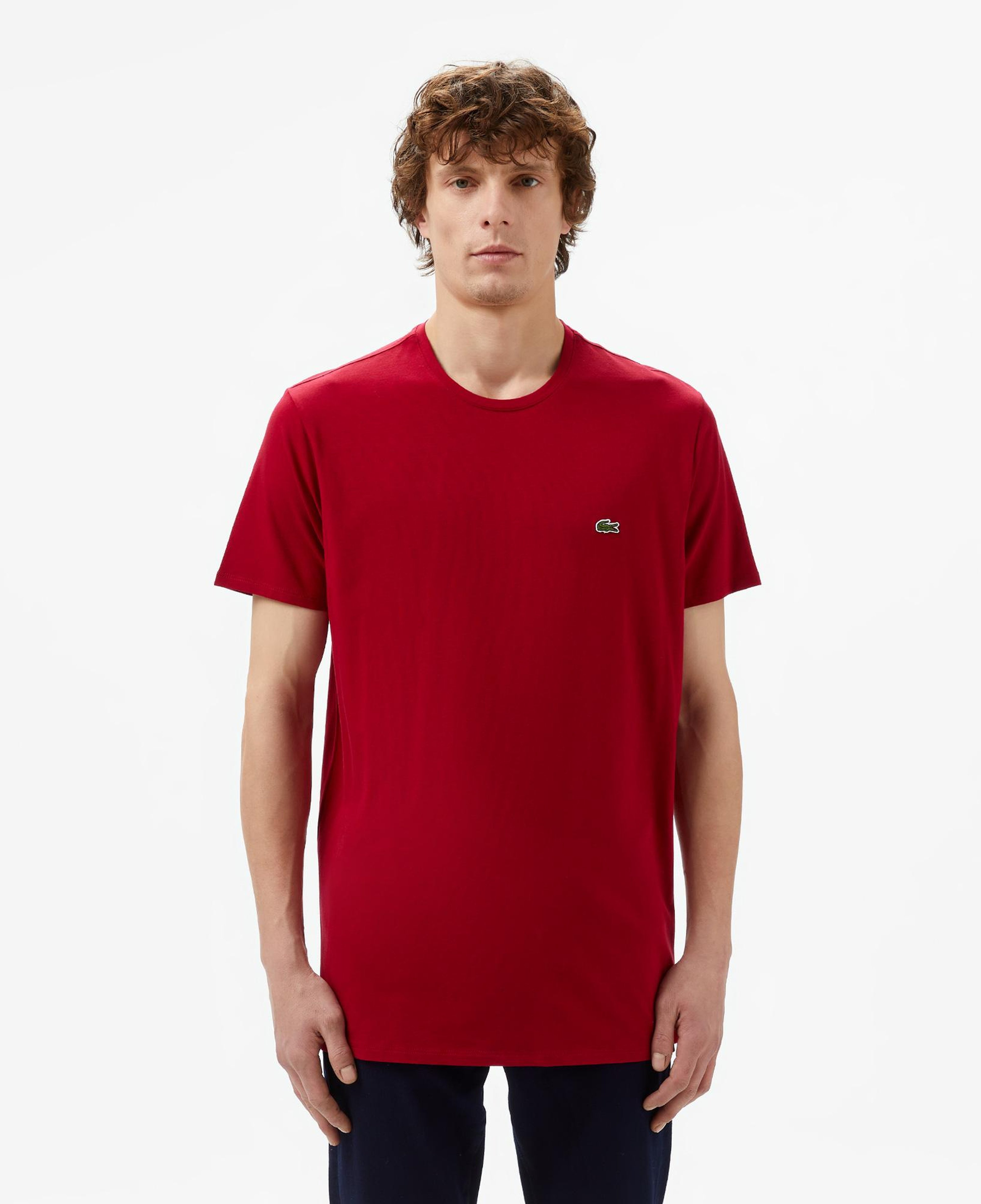 Erkek Slim Fit Bisiklet Yaka Bordo T-Shirt