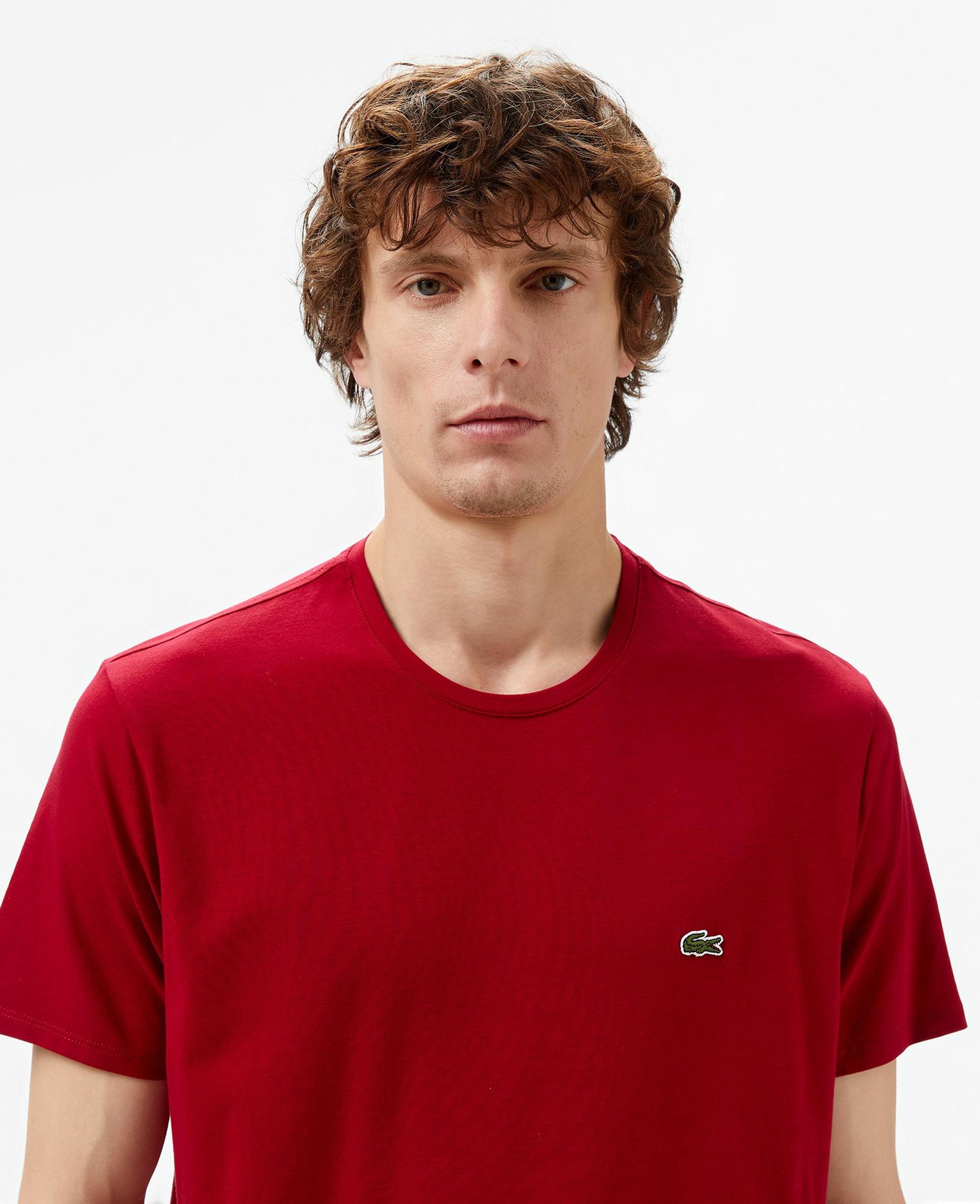Erkek Slim Fit Bisiklet Yaka Bordo T-Shirt