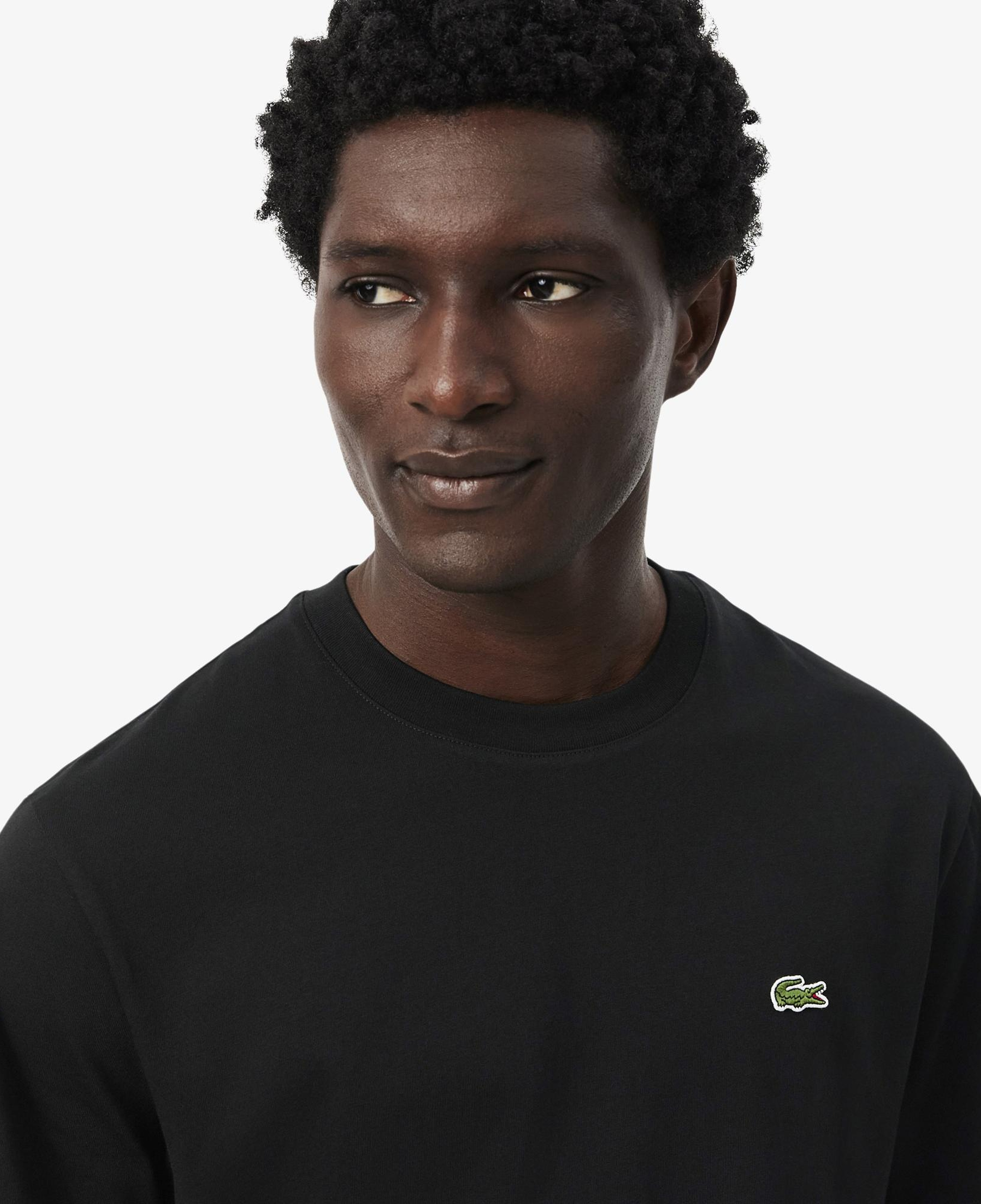Erkek Classic Fit Bisiklet Yaka Siyah T-Shirt