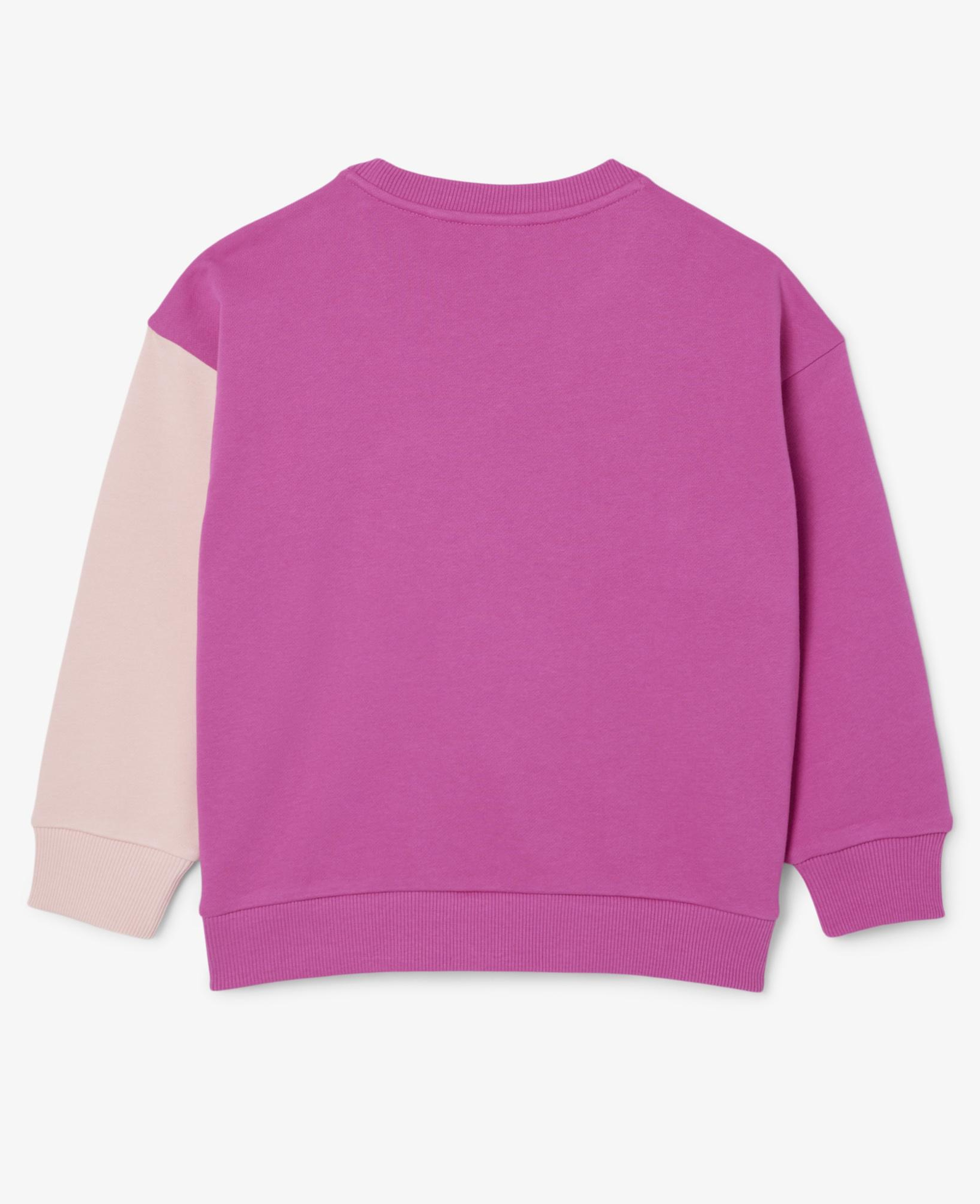 Çocuk Bisiklet Yaka Renk Bloklu Pembe Sweatshirt