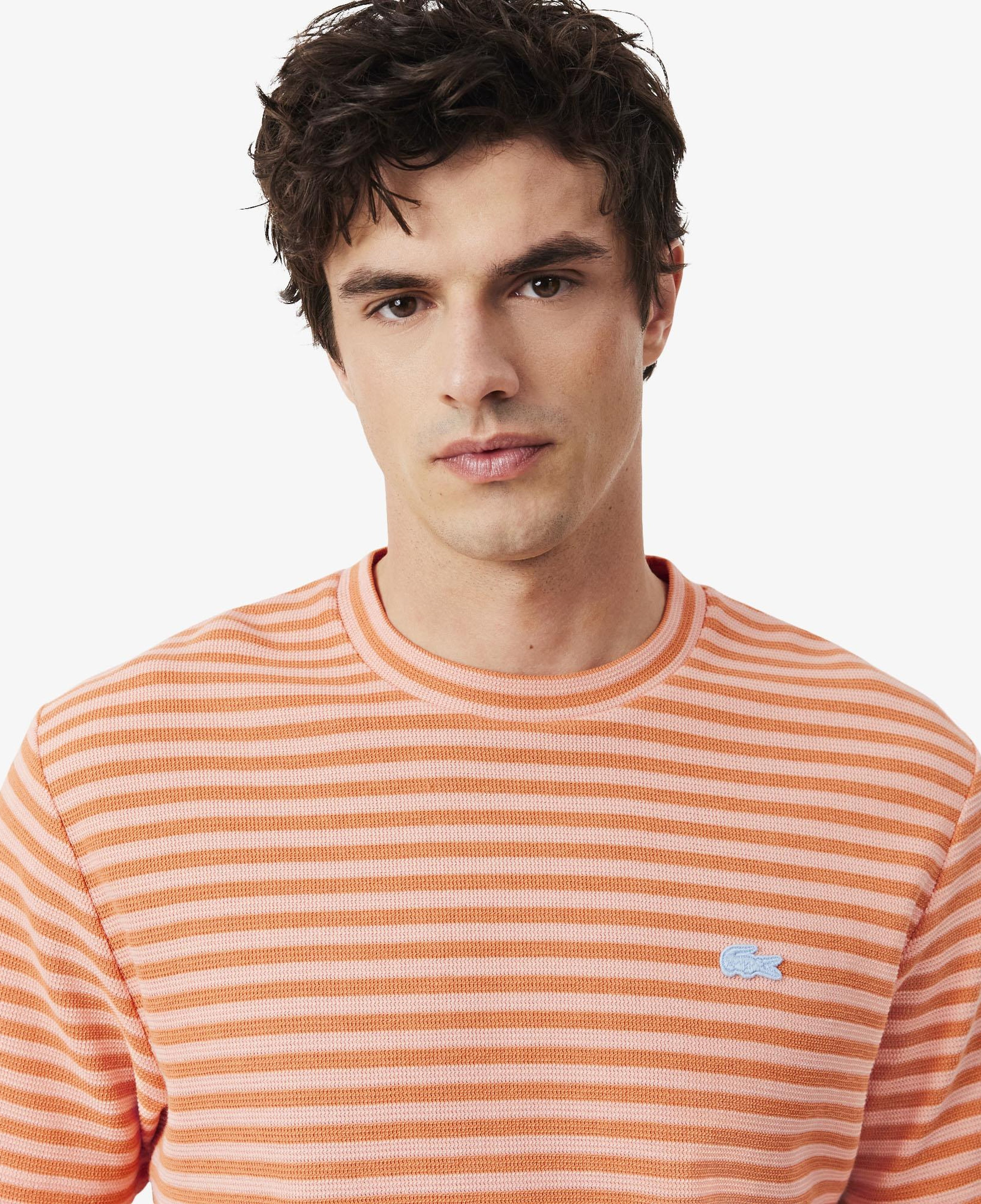 Erkek Classic Fit Bisiklet Yaka Çizgili Turuncu T-Shirt