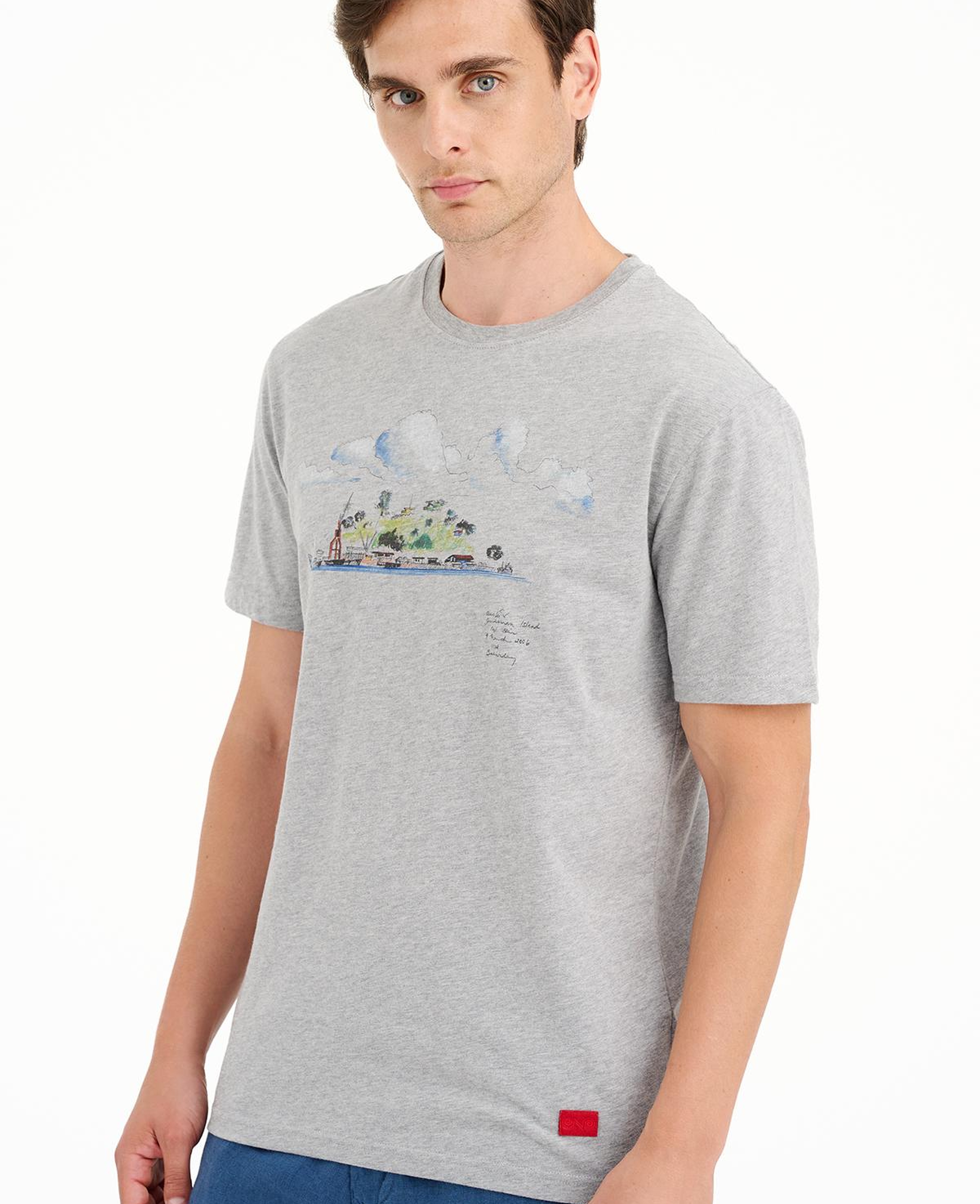 Erkek Gri Ada Baskılı Bisiklet Yaka T-Shirt