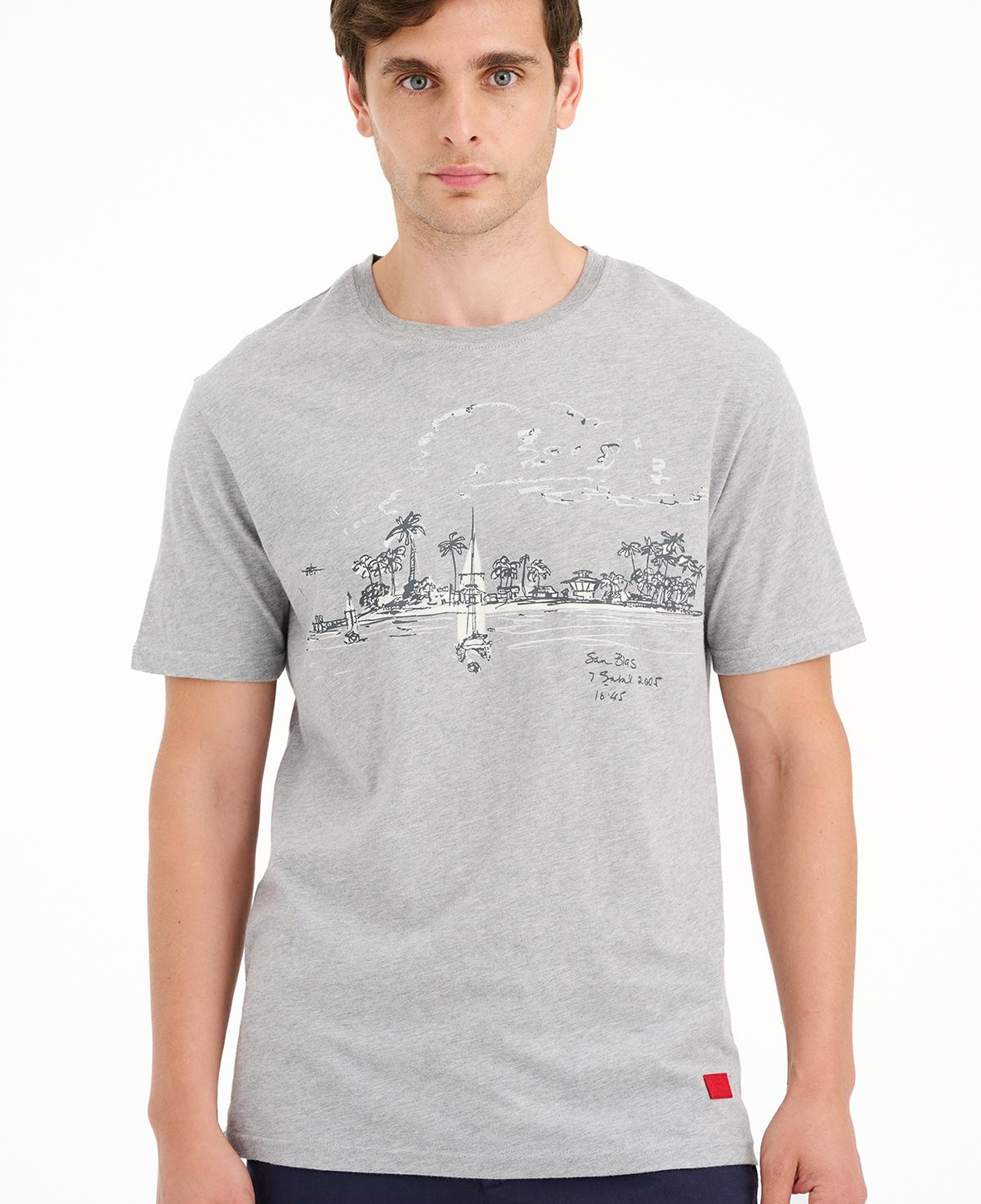 Erkek Gri St Blas Baskılı Bisiklet Yaka  T-Shirt