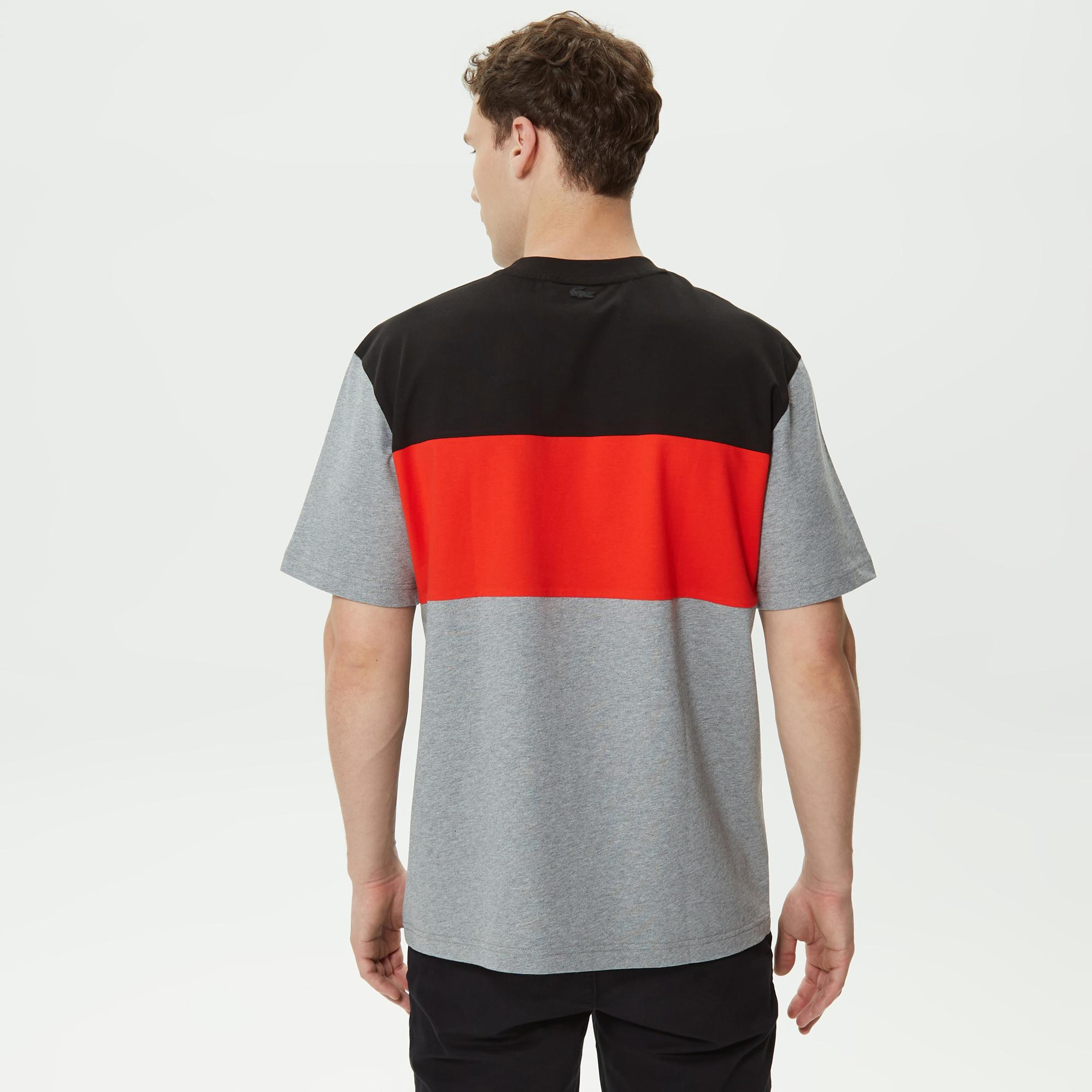 Erkek Relaxed Fit Bisiklet Yaka Renk Bloklu Gri T-Shirt